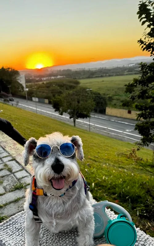 Murilo Schnauzer