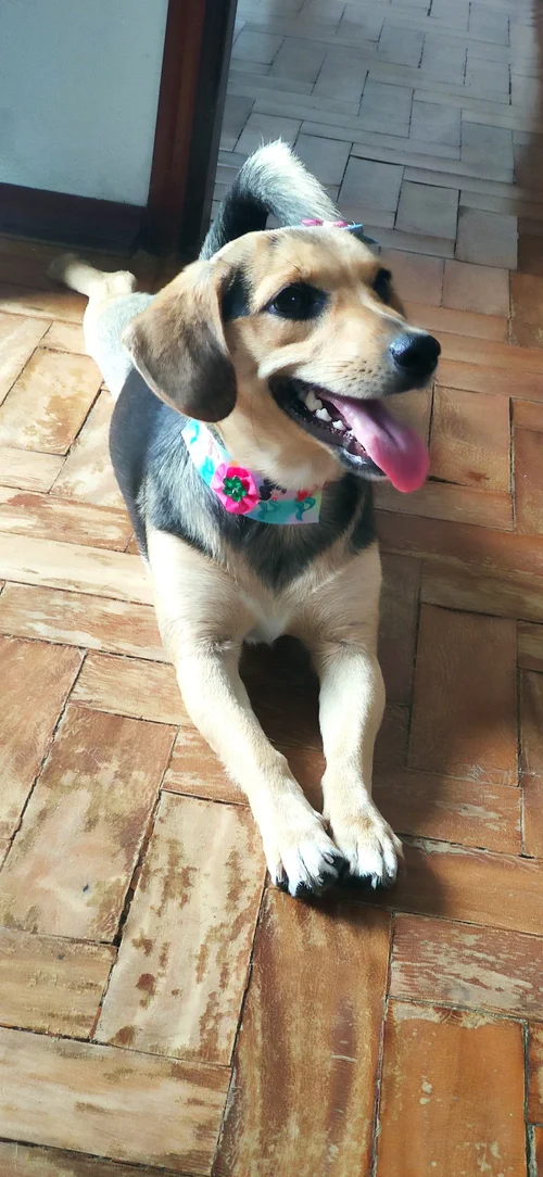 Ana
