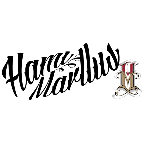 Hami Marllus Art