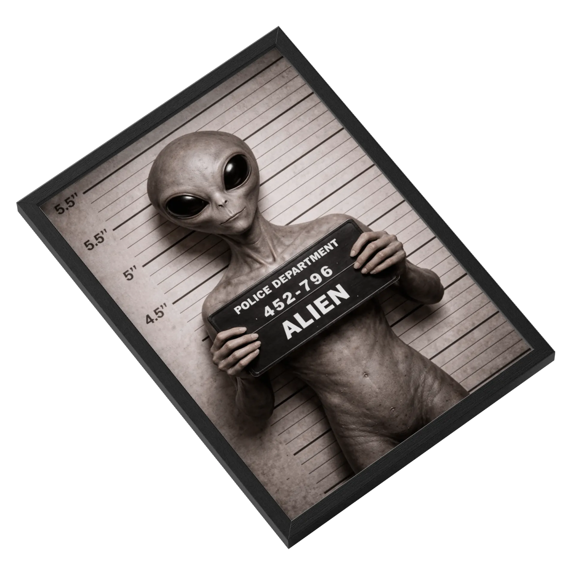 Quadro Alien em Foto Monocromática com Placa A3 - Imagem 2
