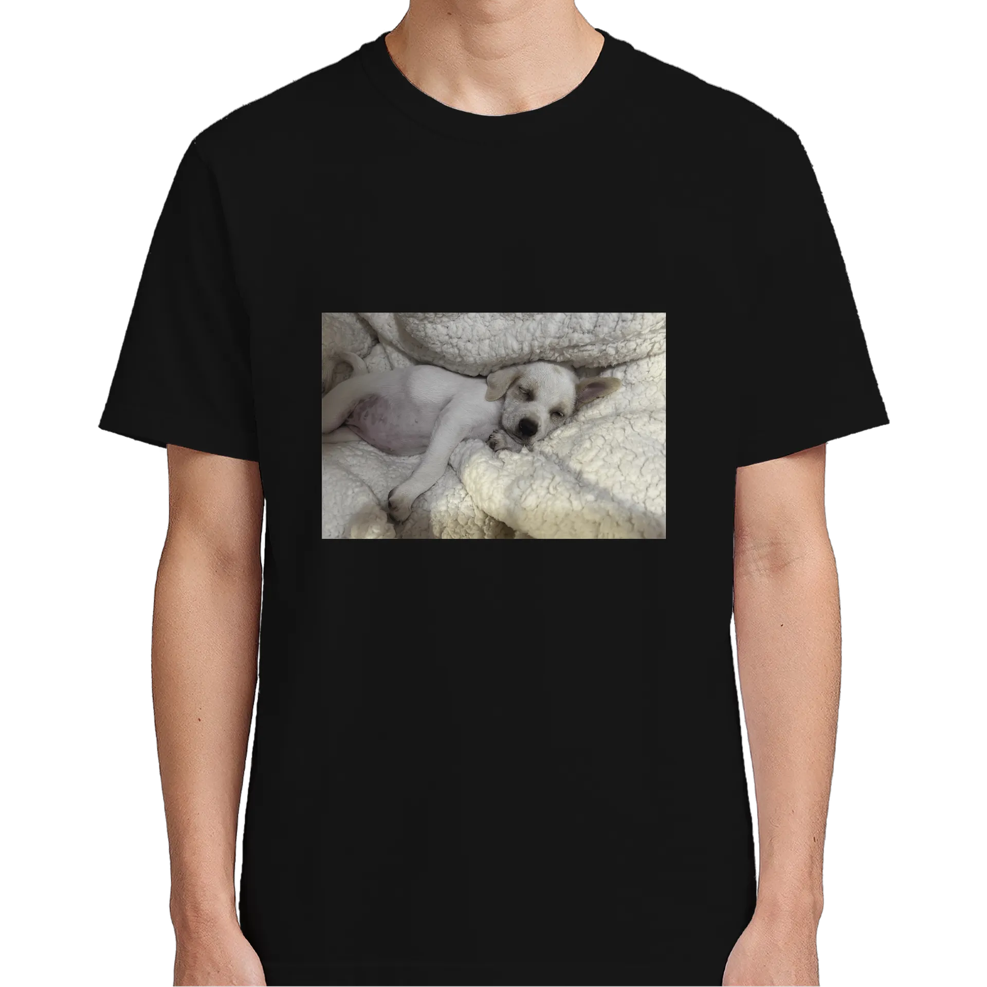 Camiseta Personalizada Cachorro Dormindo 100% Algodão - Imagem 5