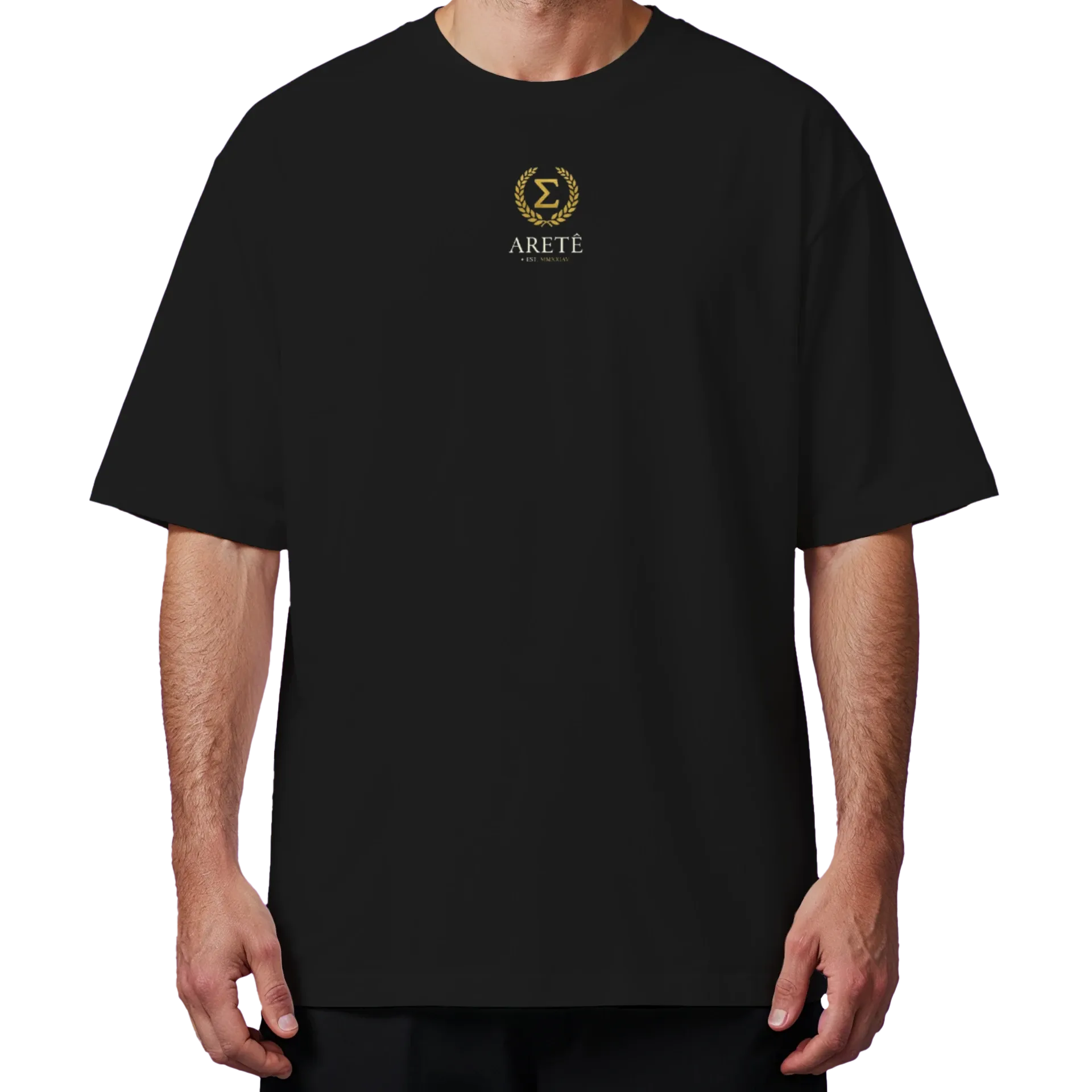 Camiseta Aretê — Coleção "Vincit Qui Se Vincit" - Imagem 4