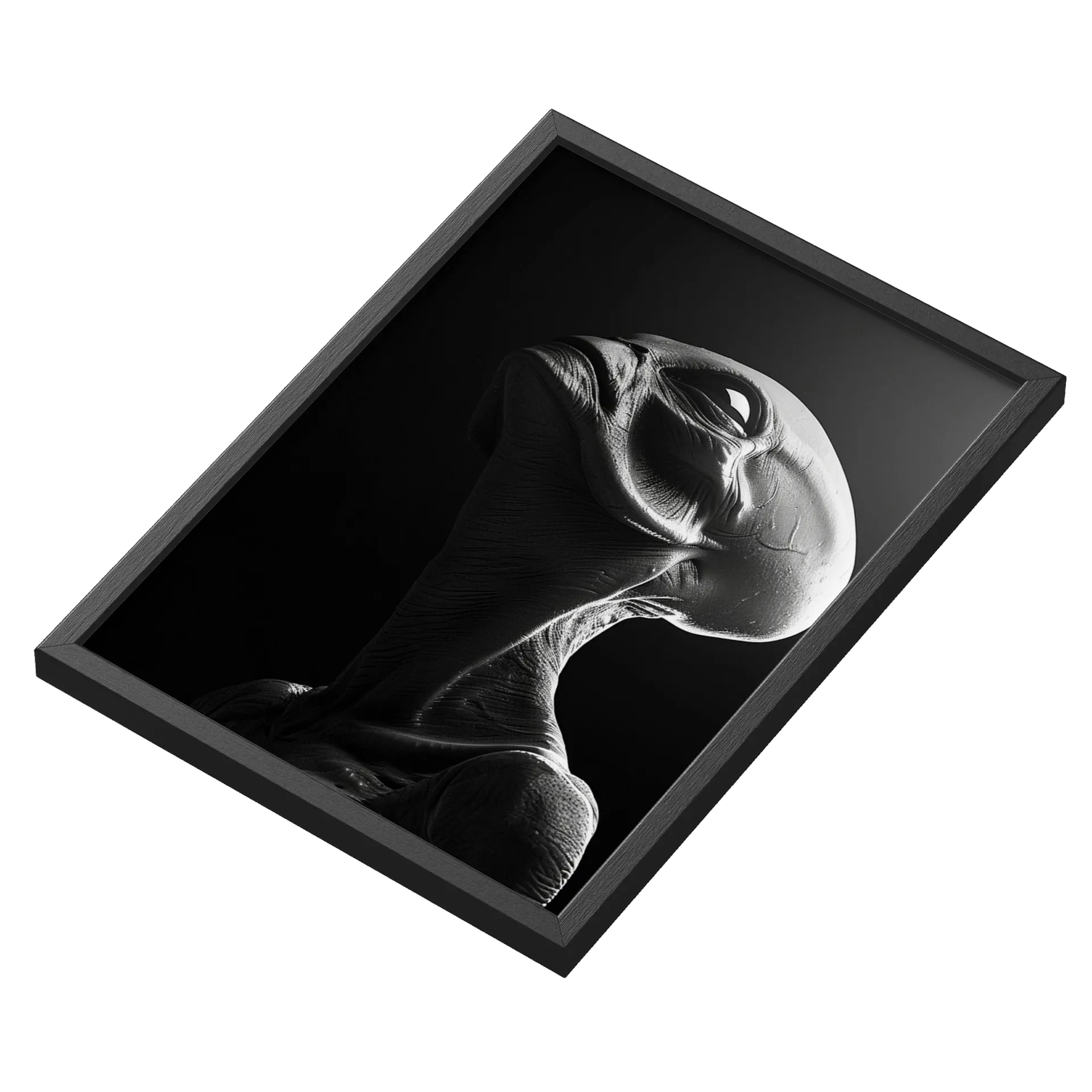 Quadro Alienígena Realista em Preto e Branco A3 Com Vidro - Imagem 3