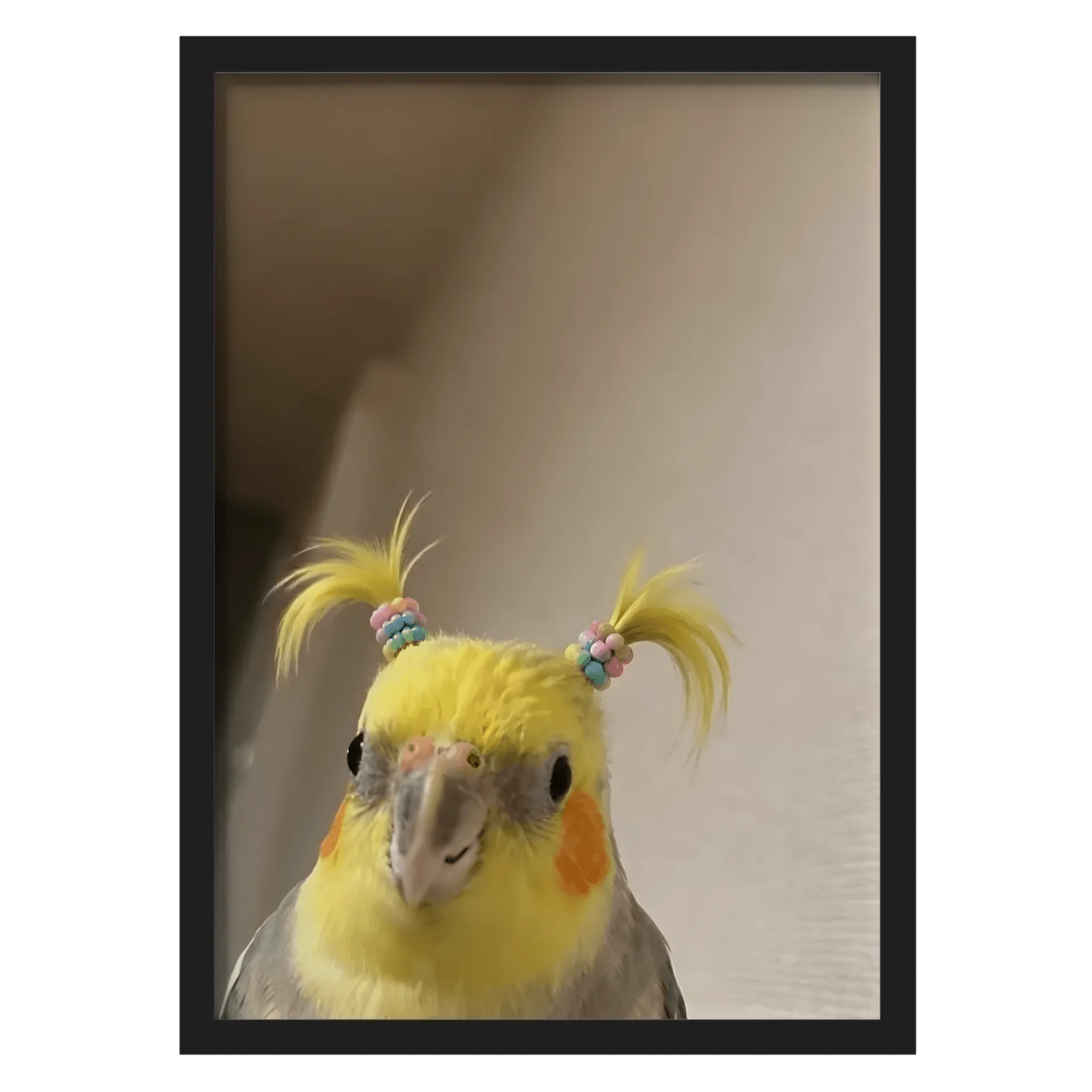 quadro calopsita de Sasa — imagem 1 de 3