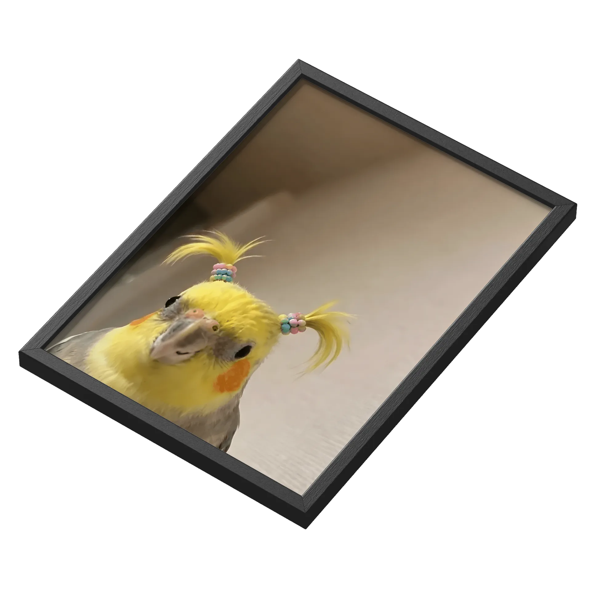 quadro calopsita de Sasa — imagem 3 de 3