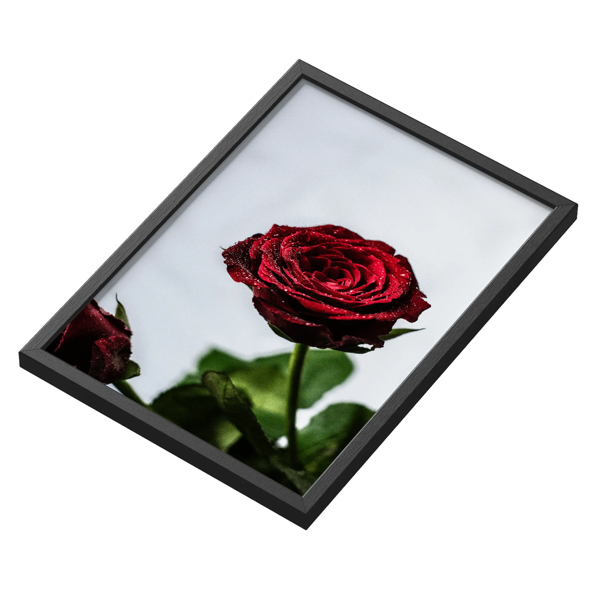 Quadro Rosa Vermelha MDF e Vidro A3 - Imagem 3