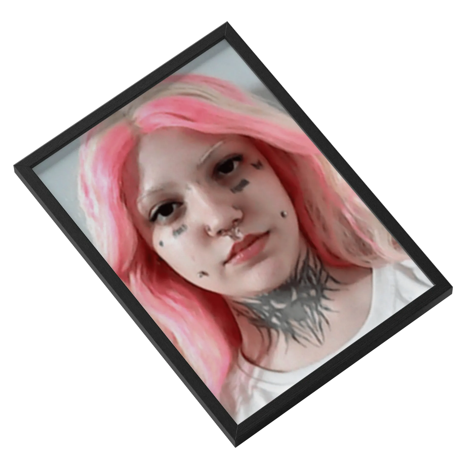 Quadro Mugshot - Imagem 2