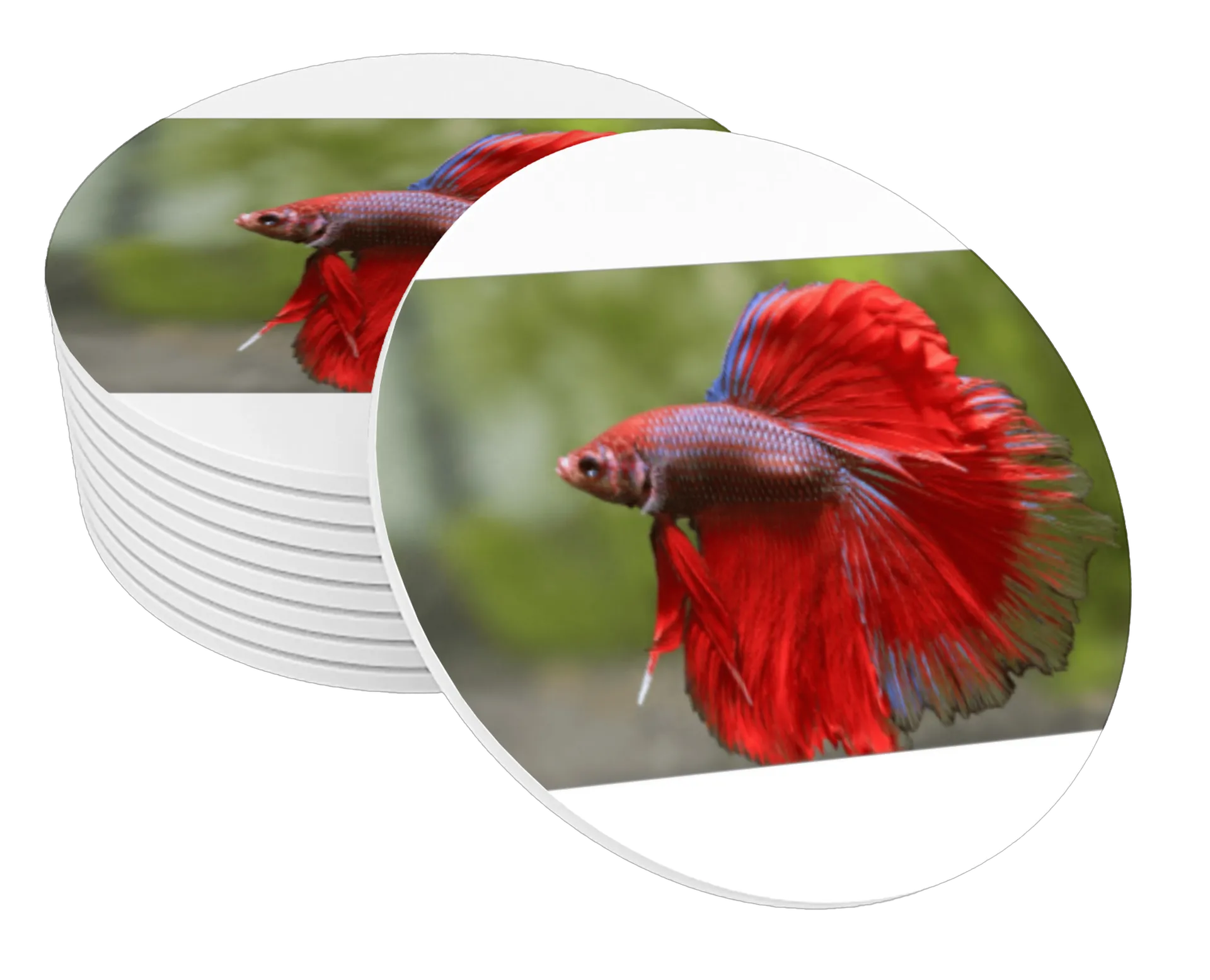 Porta-copos personalizado - Imagem 1