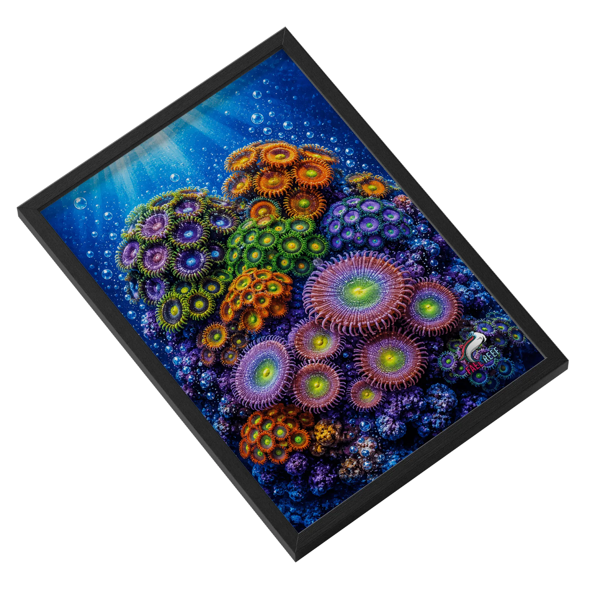 Quadro Zoanthus e Pallythoas de FaelReef