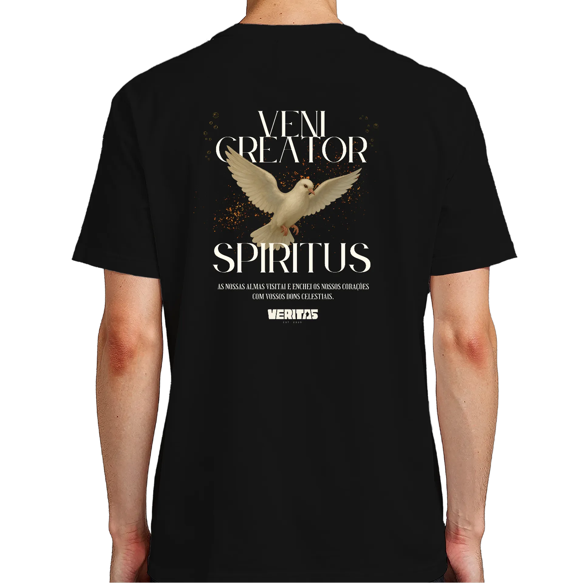 Camiseta - Espirito Santo - Imagem 7