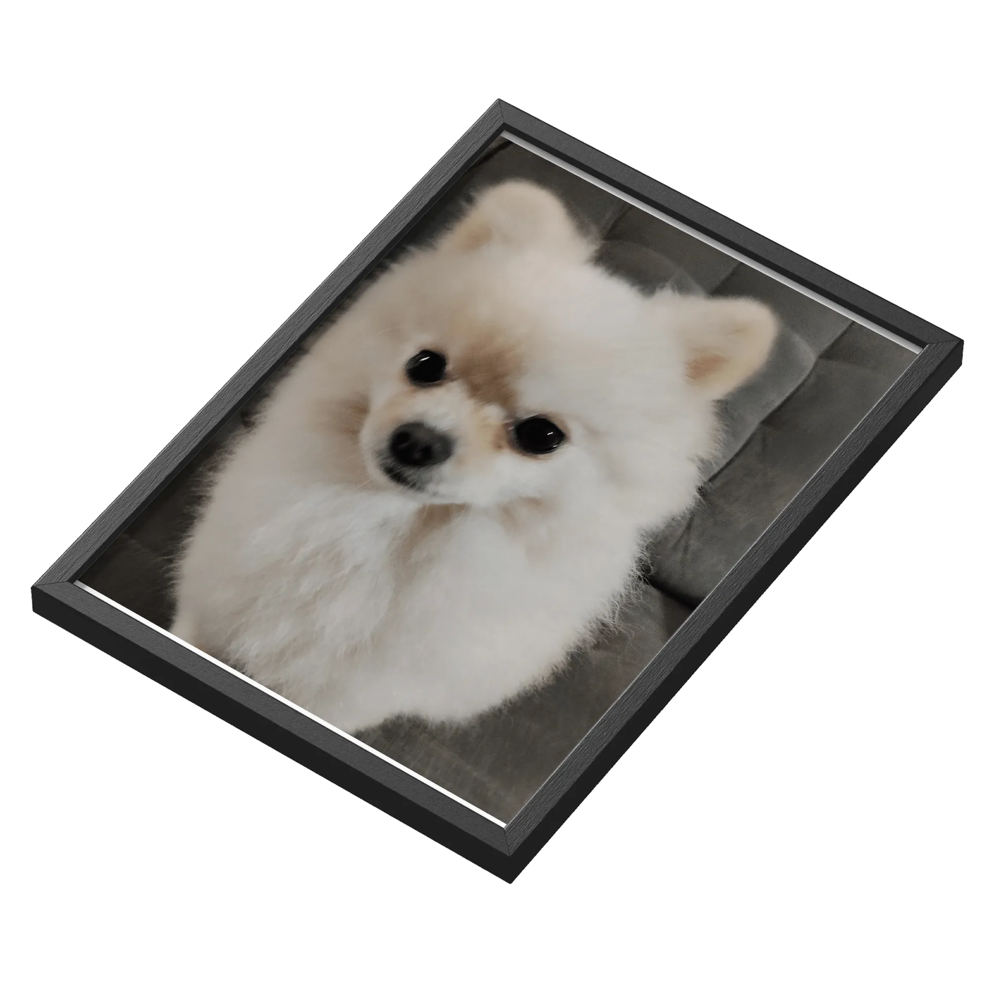 Quatro cachorros de Brasil Crown Store — imagem 3 de 3