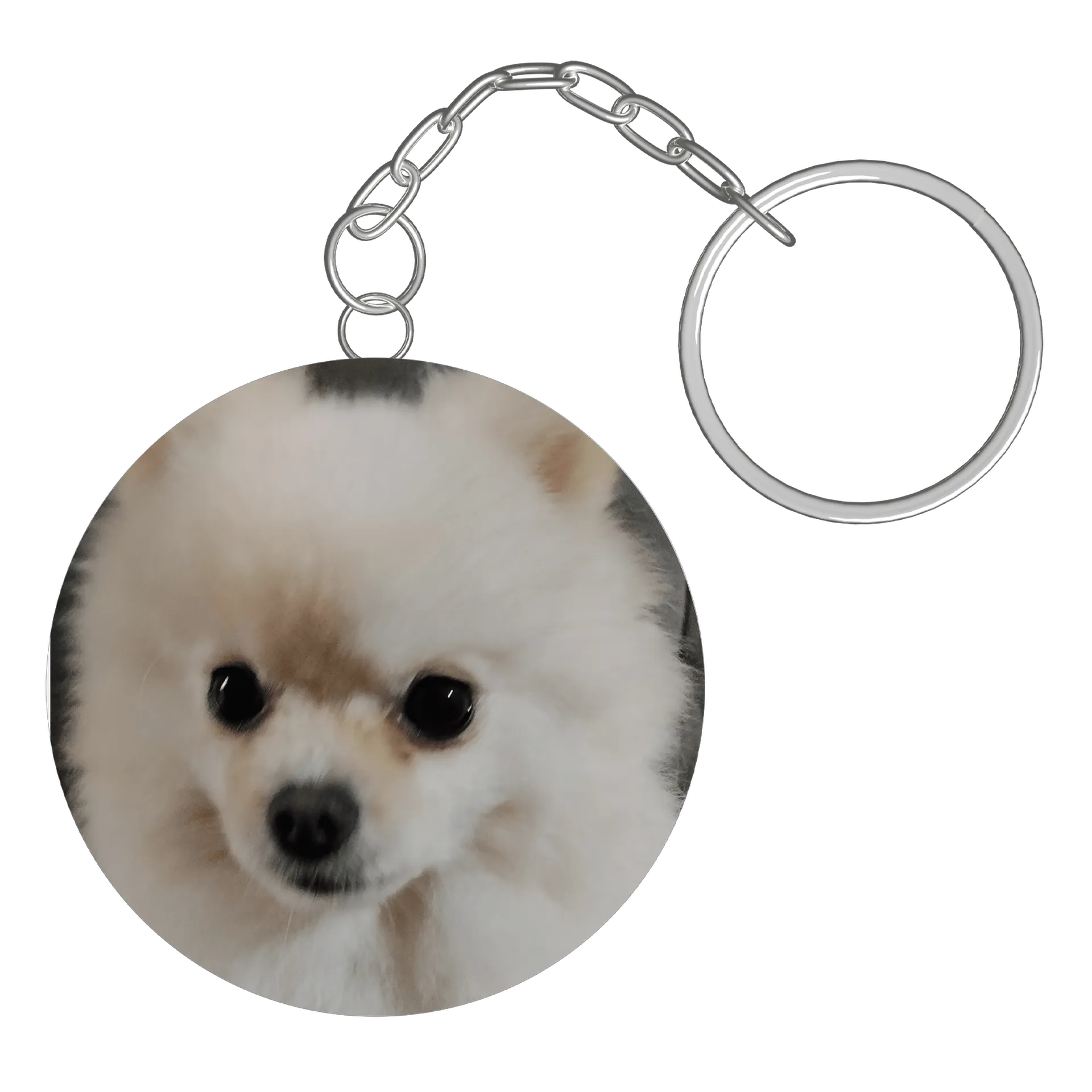 Chaveiro do cachorro  de Brasil Crown Store — imagem 2 de 3