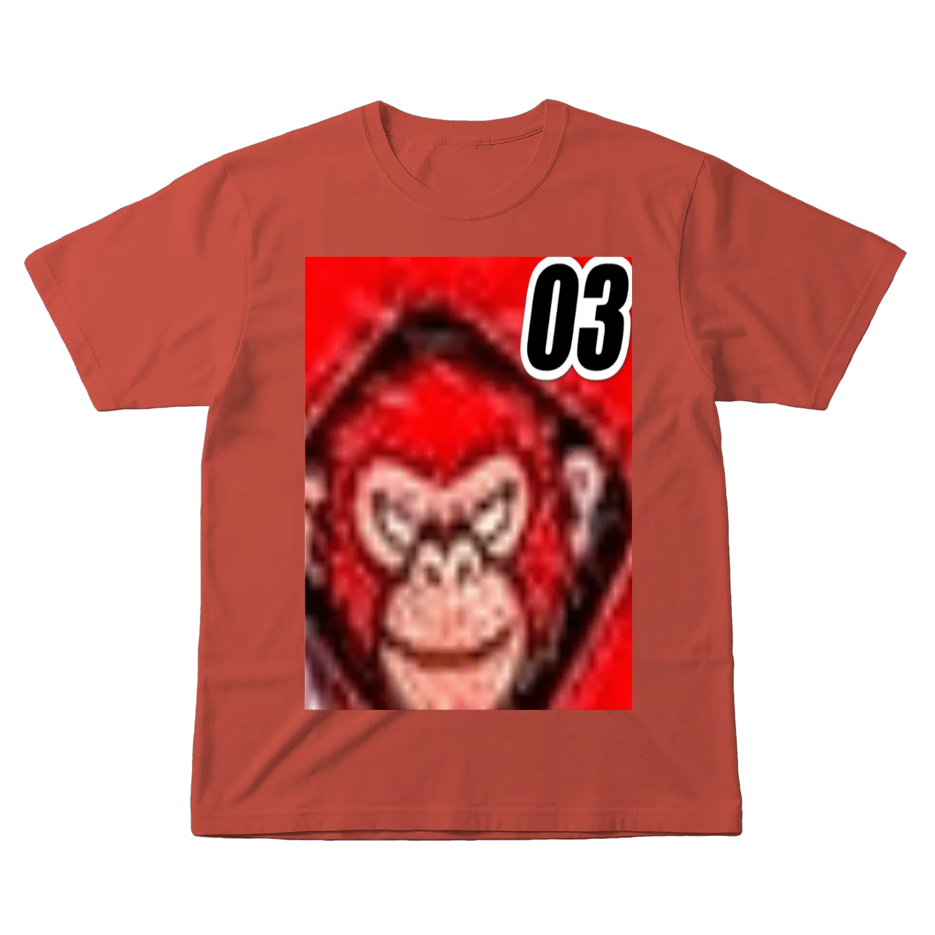Camiseta ziggy - Imagem 1