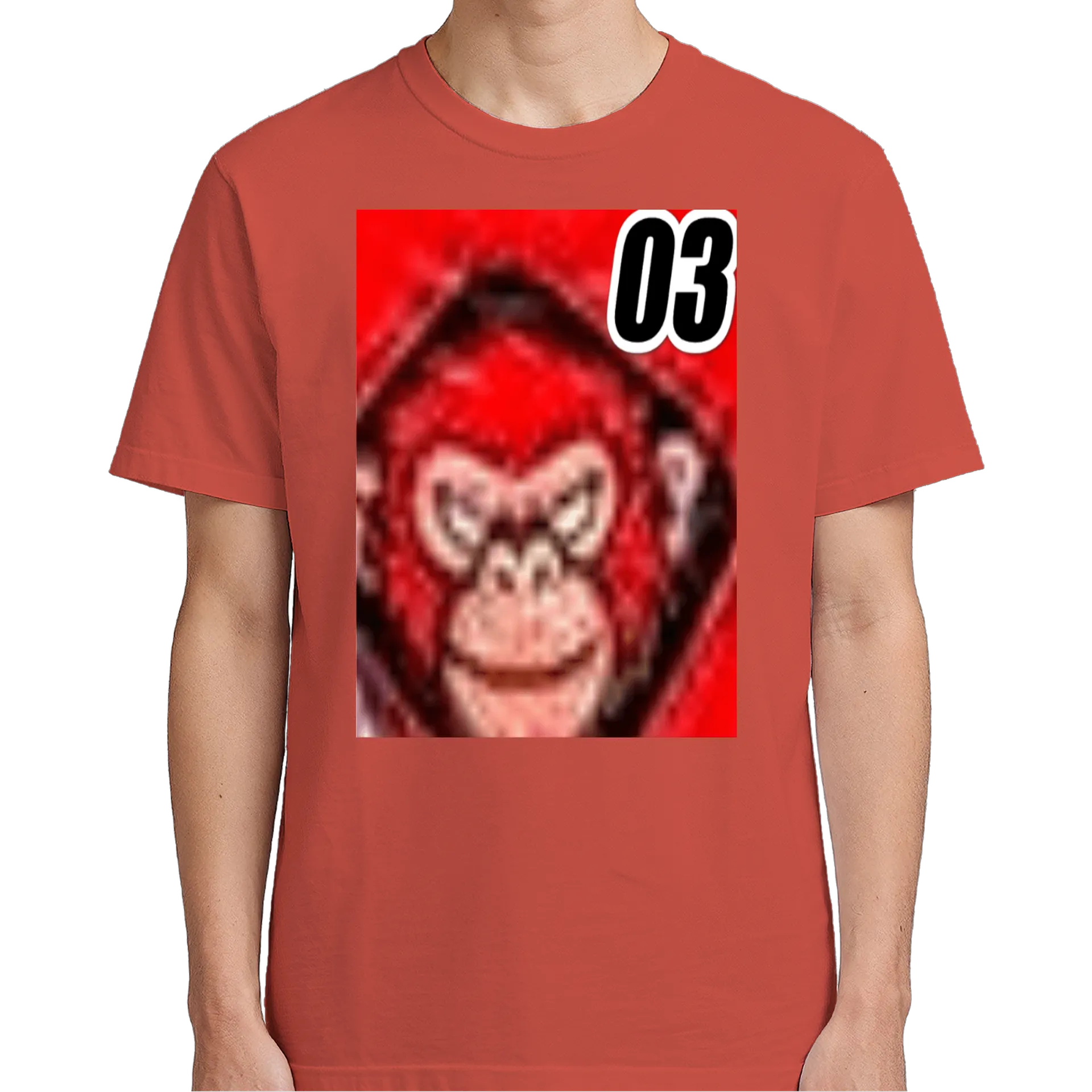 Camiseta ziggy - Imagem 5