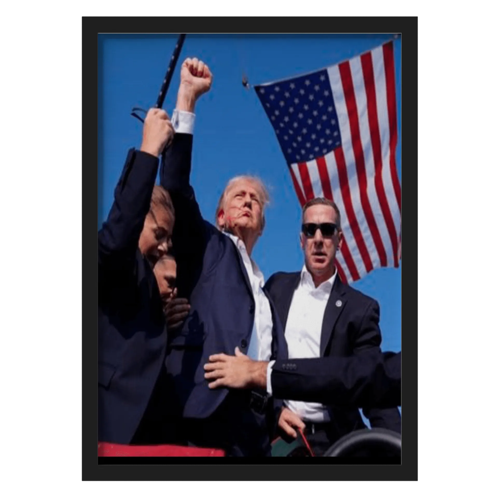 Donald Trump com Bandeira dos Estados Unidos A3 de lebCO — imagem 1 de 3