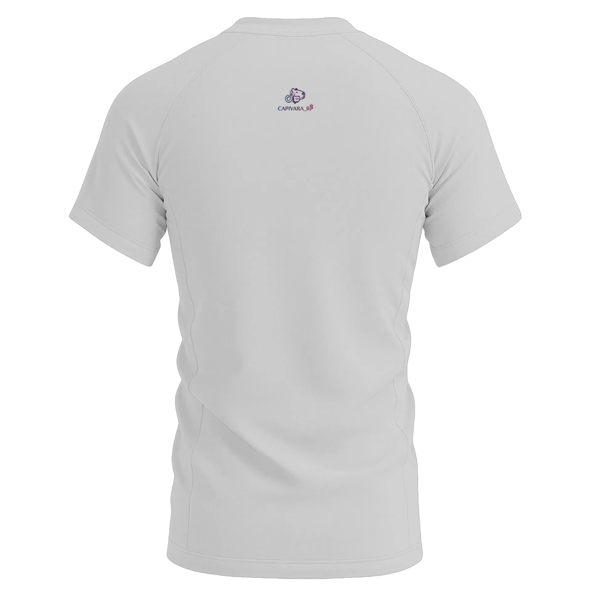 Camiseta Dry Fit Capivara Musculosa Gym Time 100% Algodão de Capivara_RP