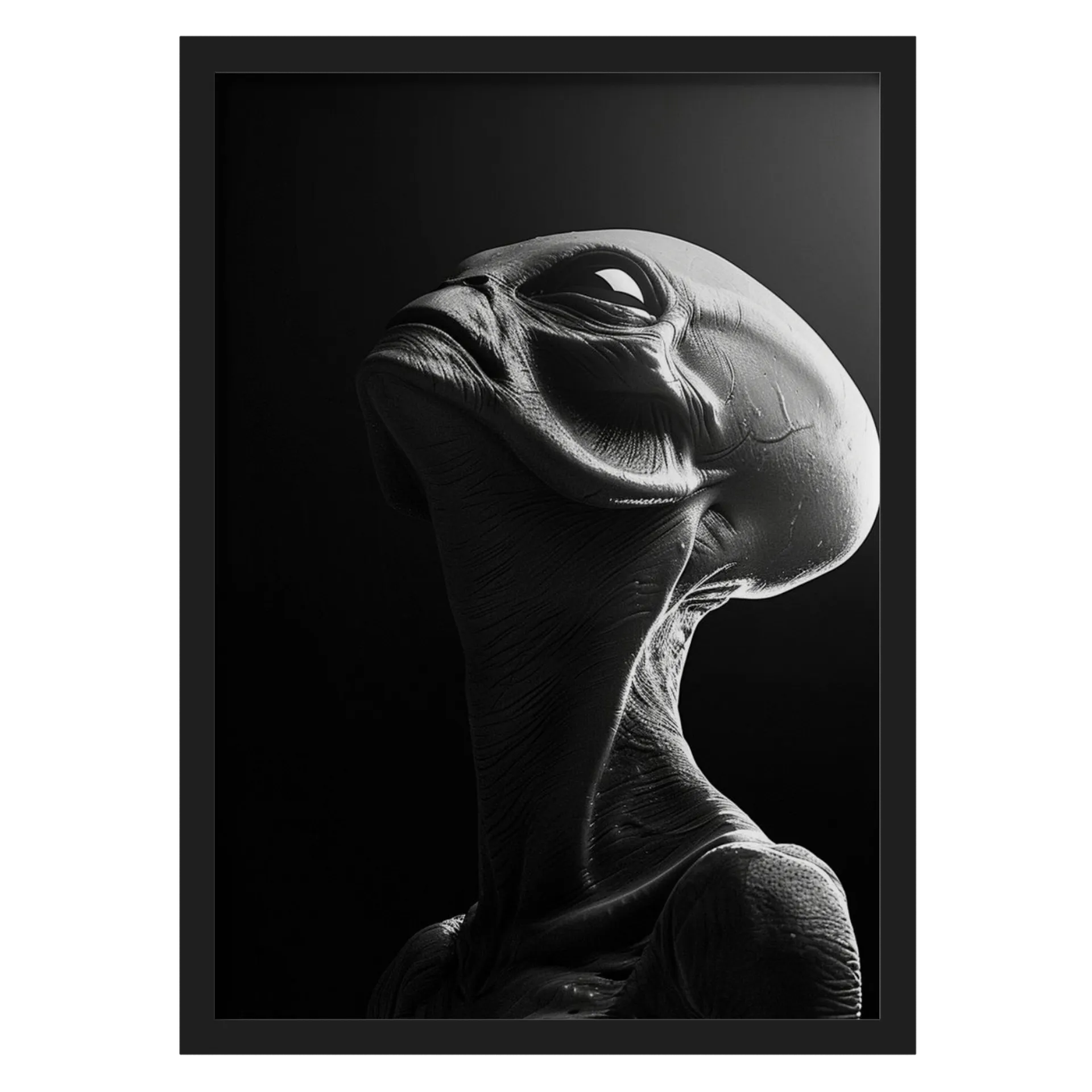 Quadro Alienígena Realista em Preto e Branco A3 Com Vidro - Imagem 1