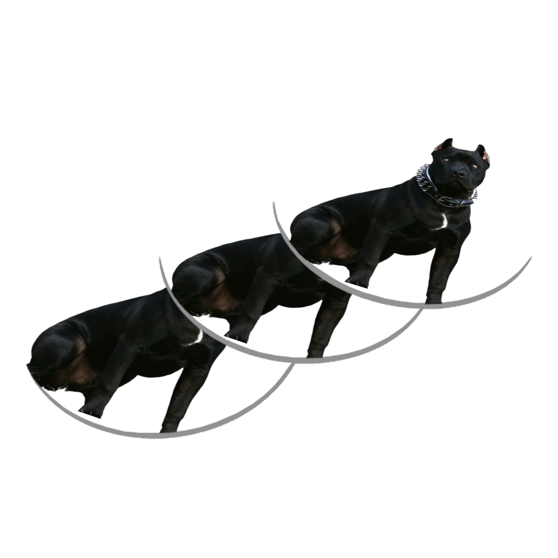 Porta-copo Cachorro Preto Realista MDF - Imagem 2