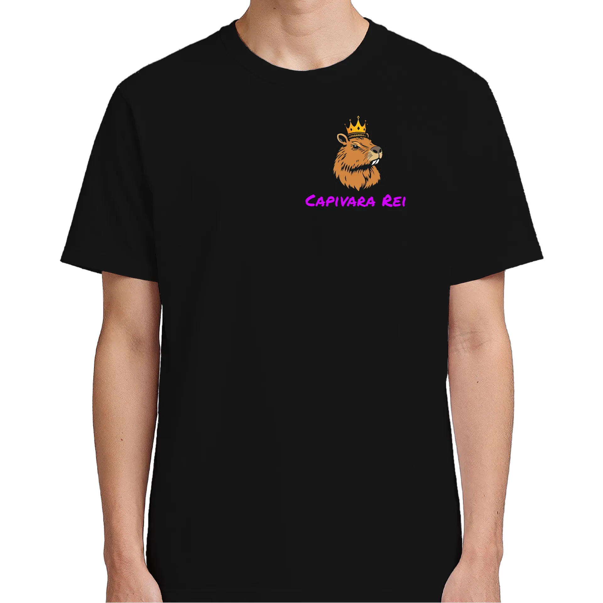 Camiseta personalizada de CapivaraReiOfc — imagem 4 de 6