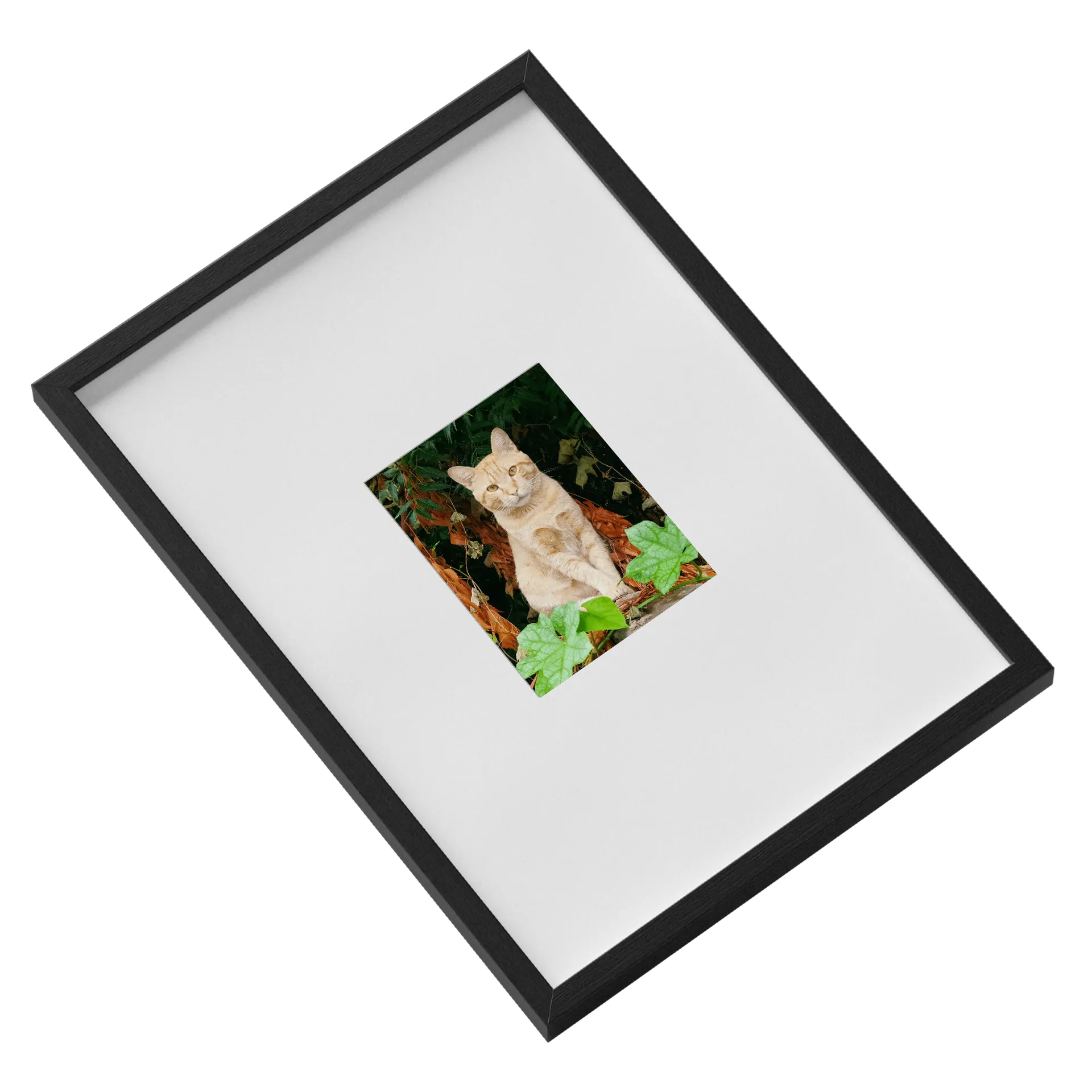 Quadro A3 personalizado de Manoecorpus — imagem 2 de 3