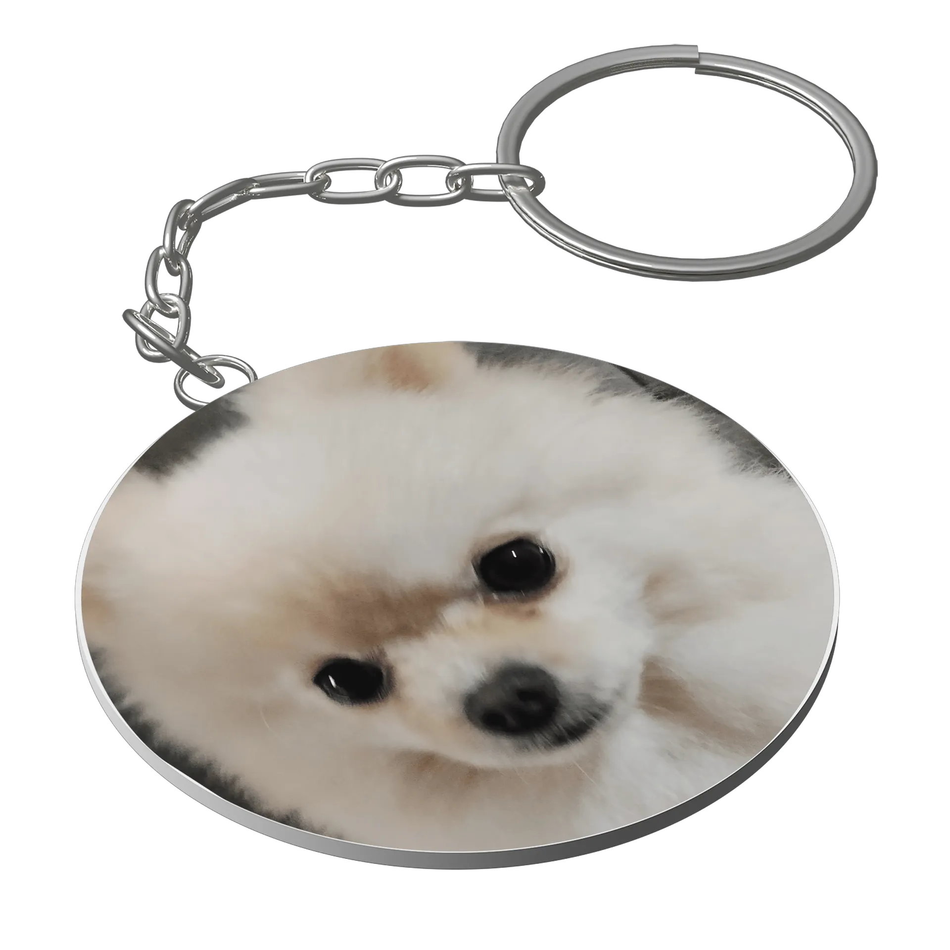 Chaveiro do cachorro  de Brasil Crown Store — imagem 1 de 3