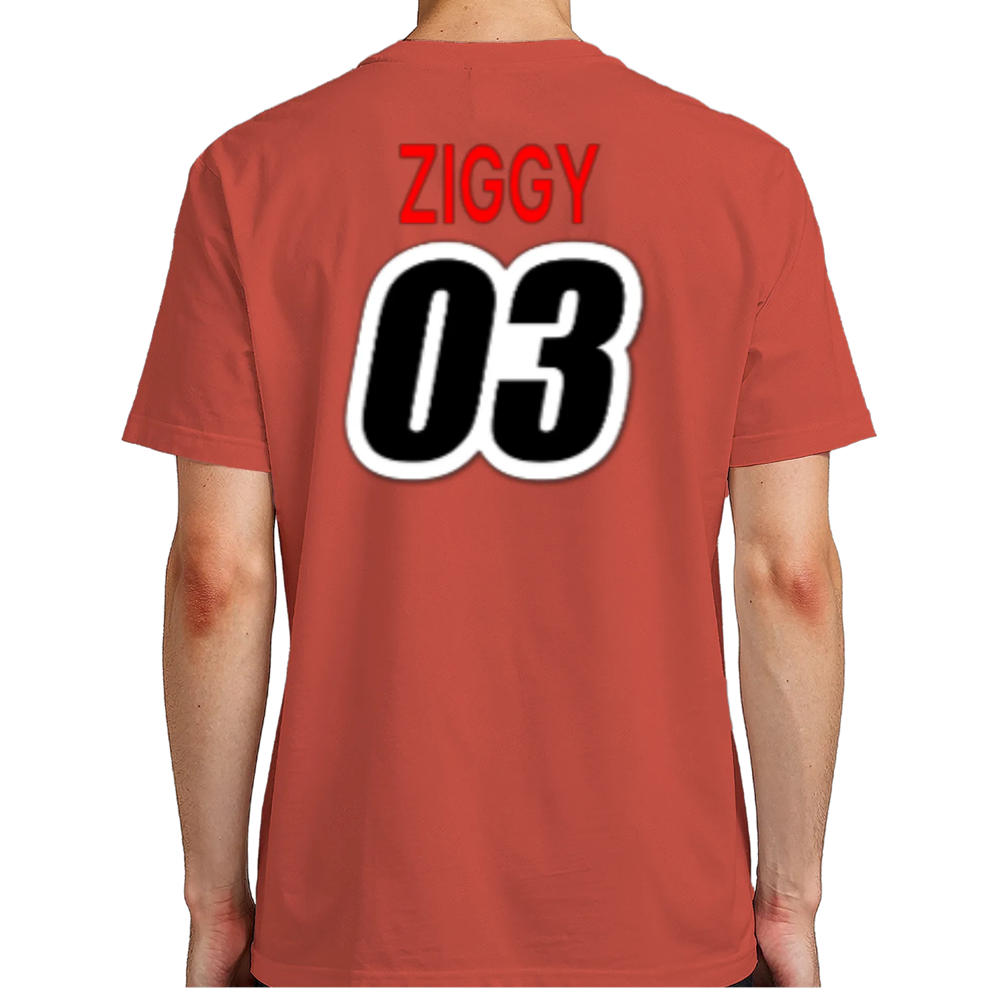 Camiseta ziggy - Imagem 7