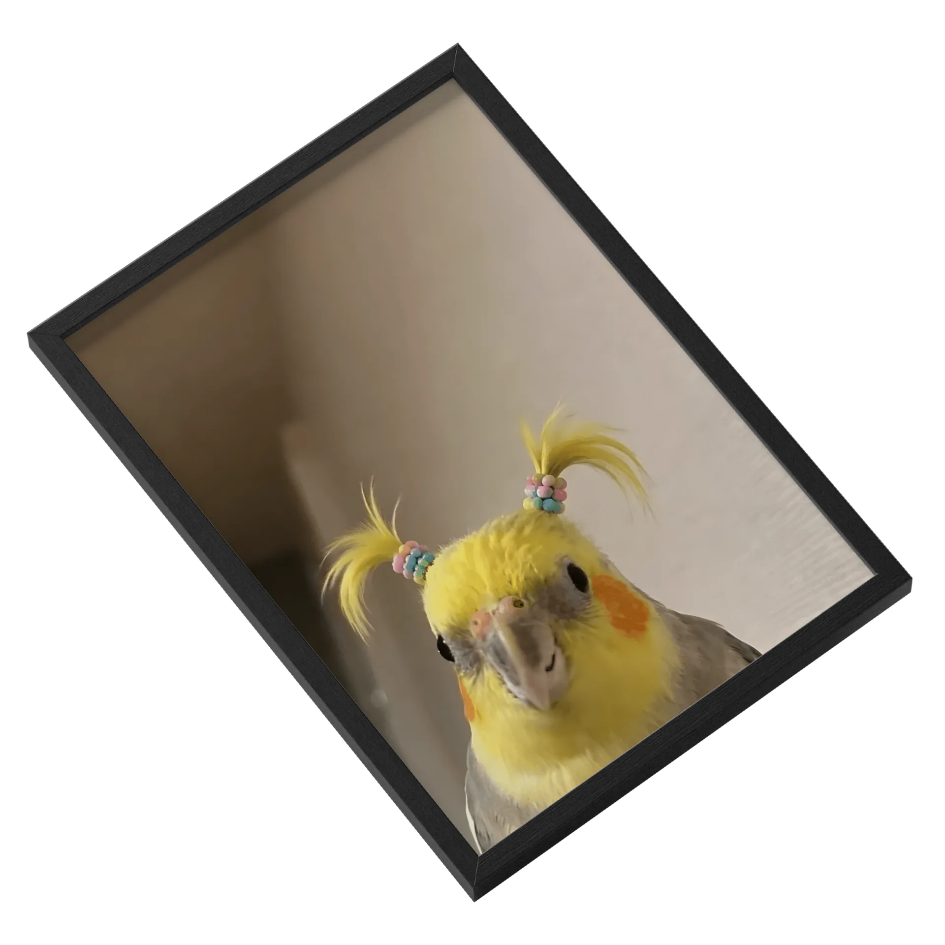 quadro calopsita de Sasa — imagem 2 de 3