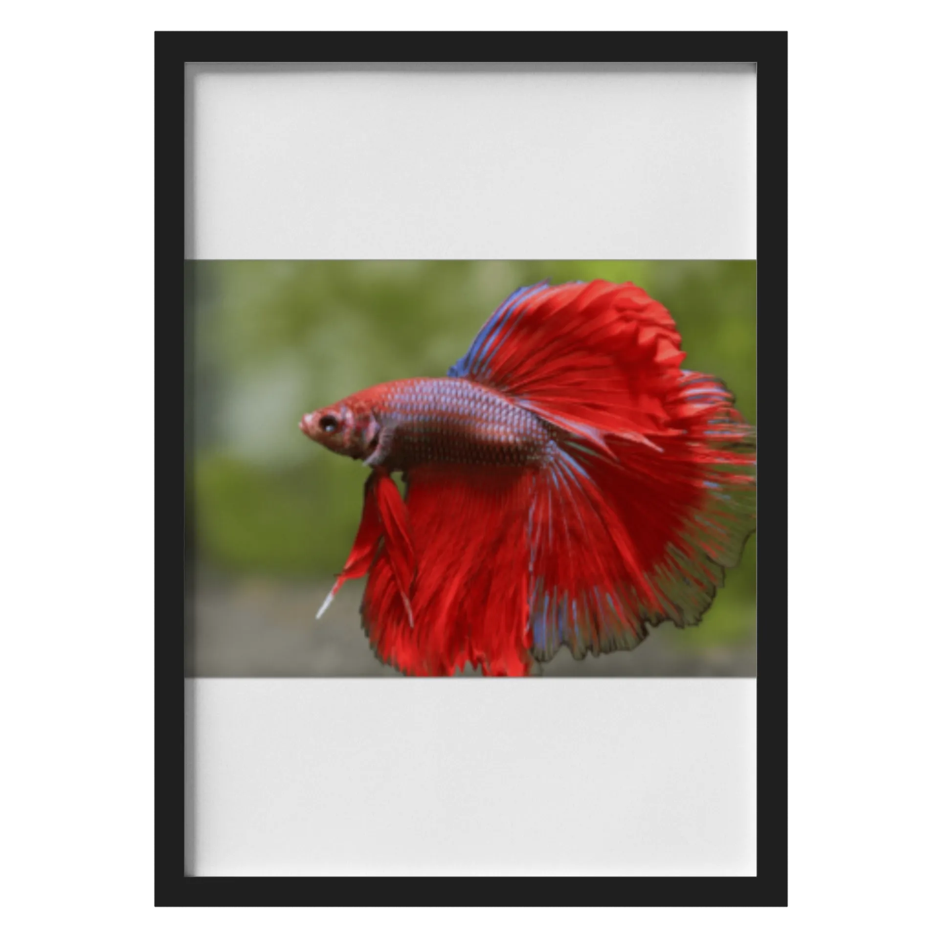 Quadro A3 personalizado de Arian luiz - Imagem 1