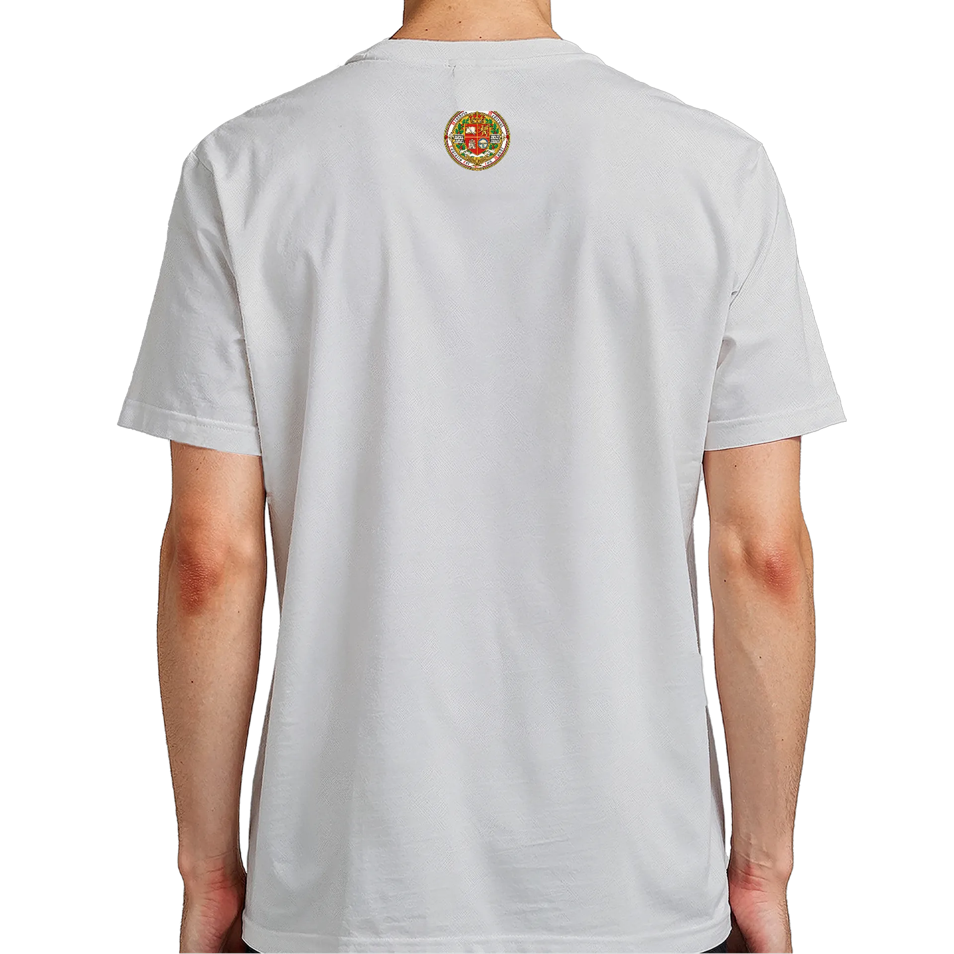 Camiseta personalizada de História Medieval — imagem 6 de 6