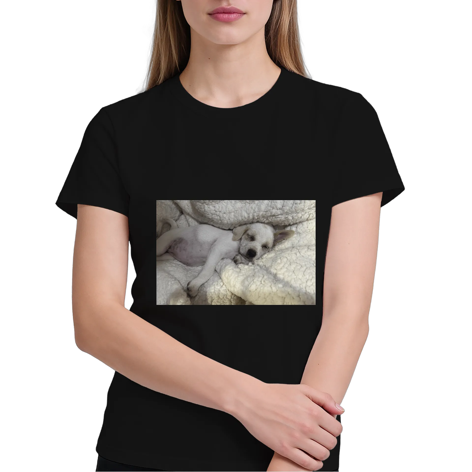 Camiseta Personalizada Cachorro Dormindo 100% Algodão - Imagem 4