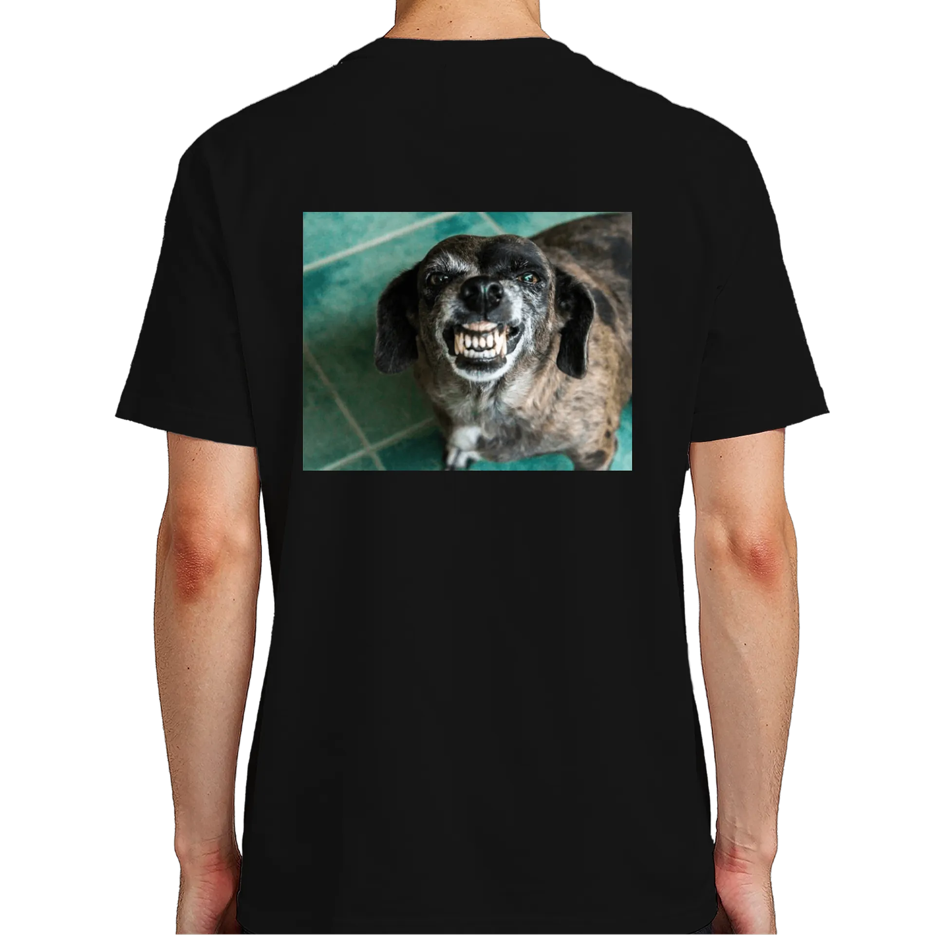 Camiseta Doggo Zombificado 100% Algodão de Williandeoliveira — imagem 6 de 6