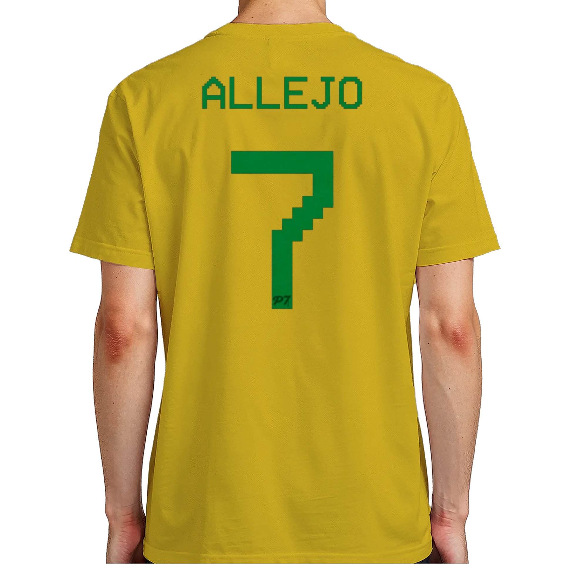 ISS Allejo - Imagem 7