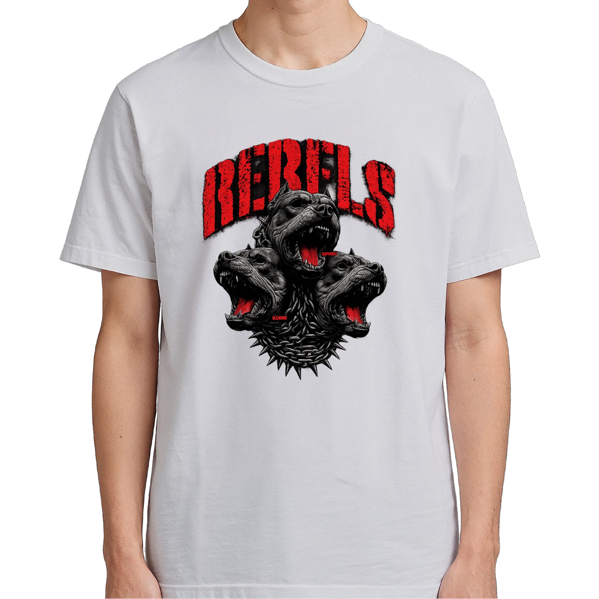 Camiseta personalizada - Imagem 5