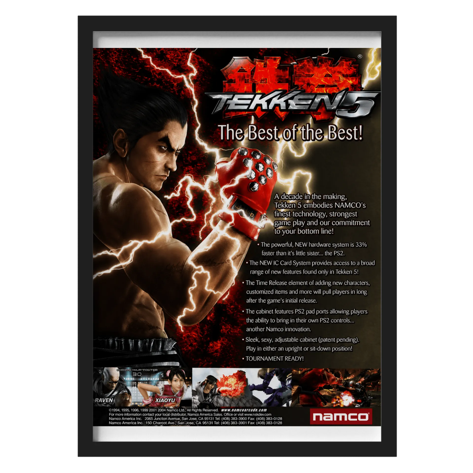 Quadro A3 TEKKEN 5 - Imagem 1