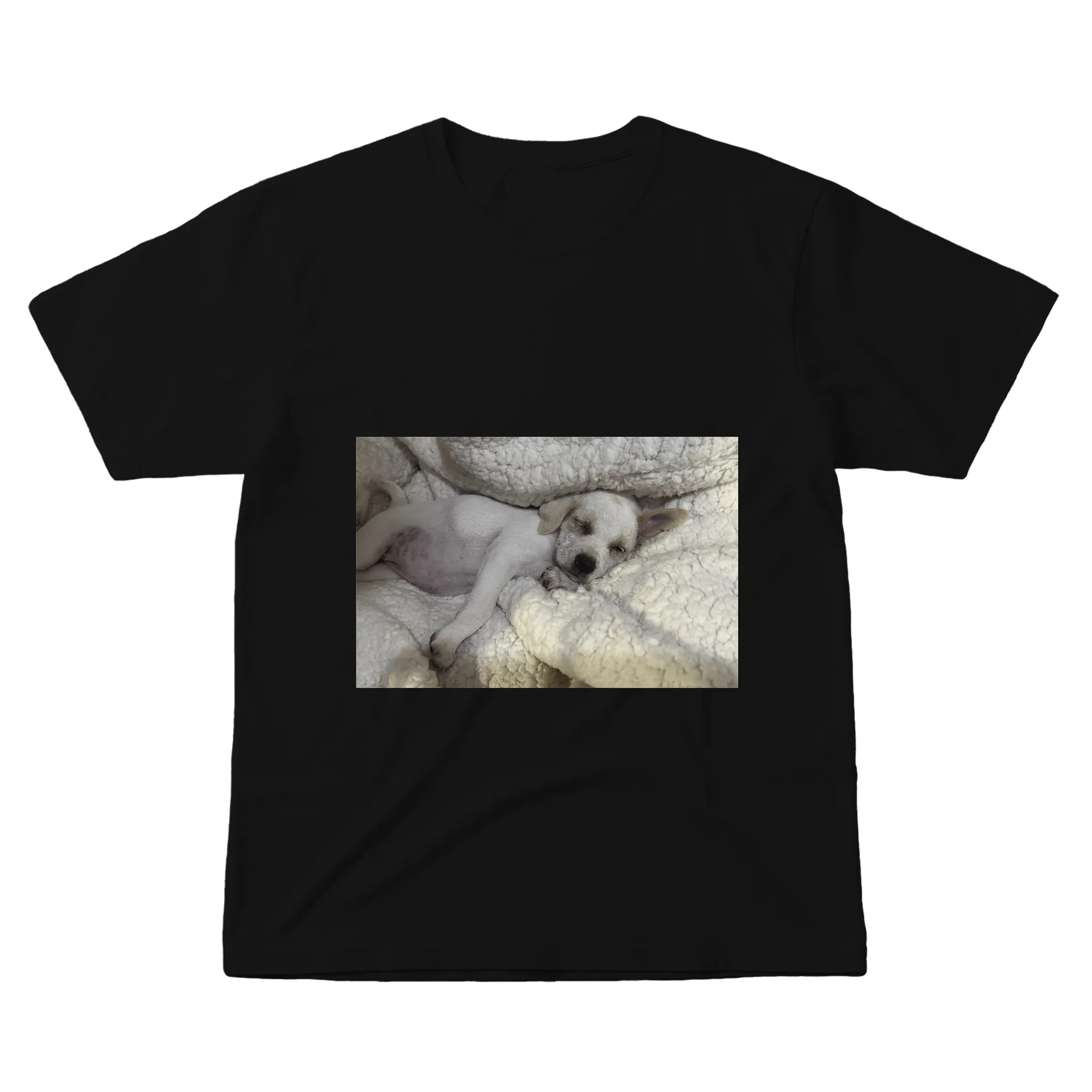 Camiseta Personalizada Cachorro Dormindo 100% Algodão de karensancao
