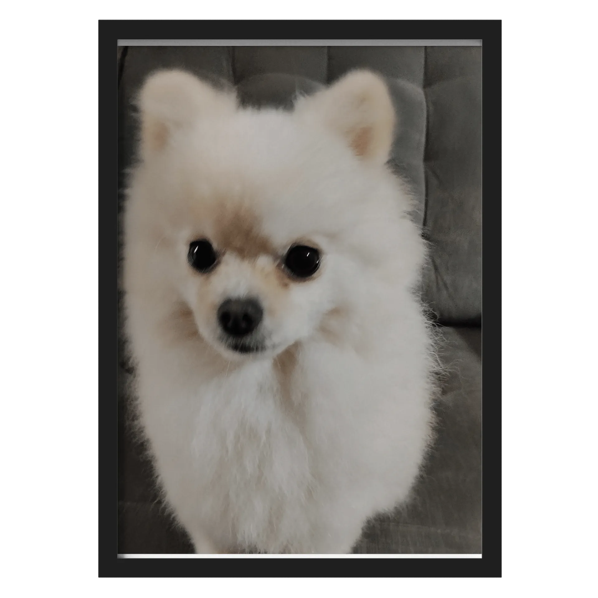 Quatro cachorros de Brasil Crown Store — imagem 1 de 3