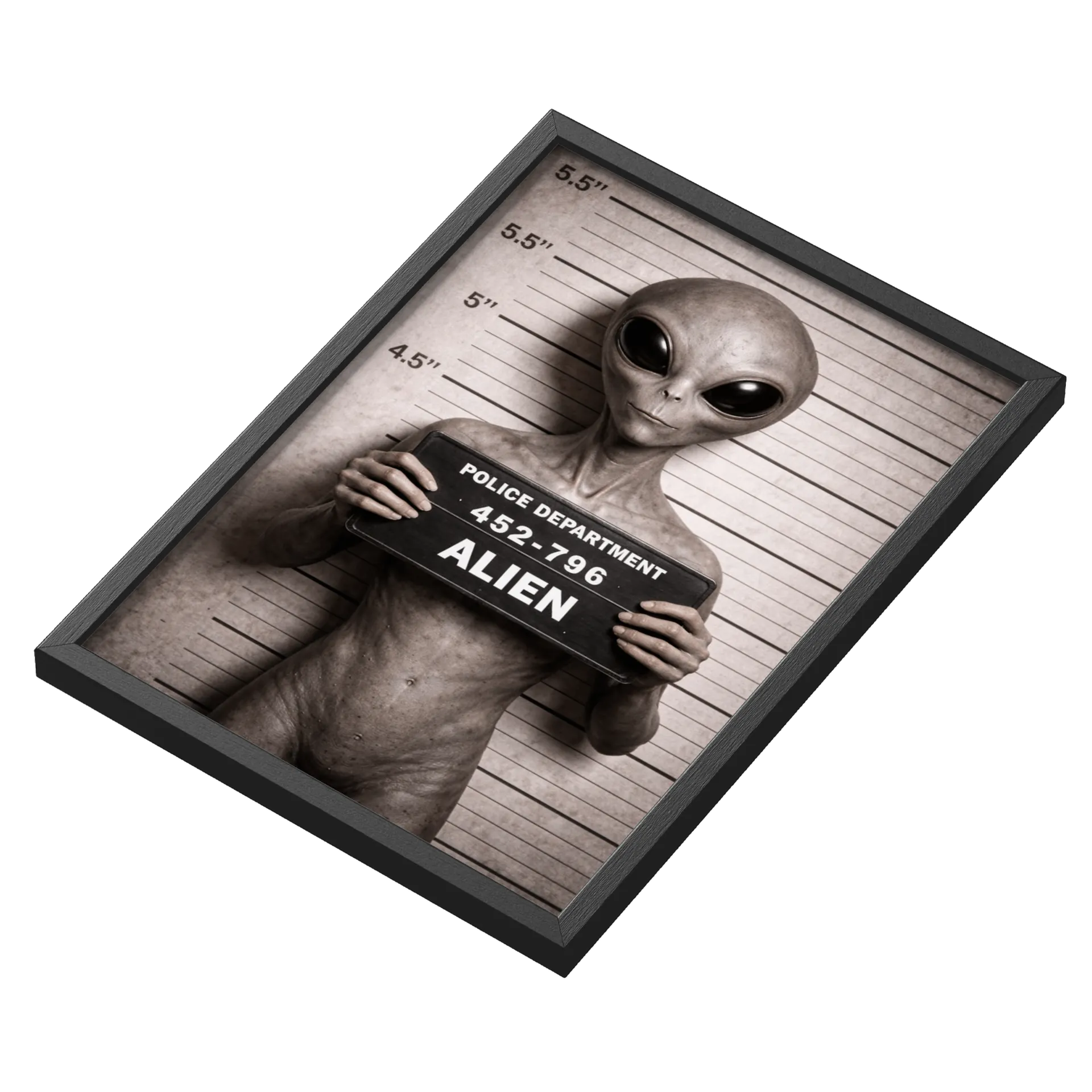 Quadro Alien em Foto Monocromática com Placa A3 - Imagem 3