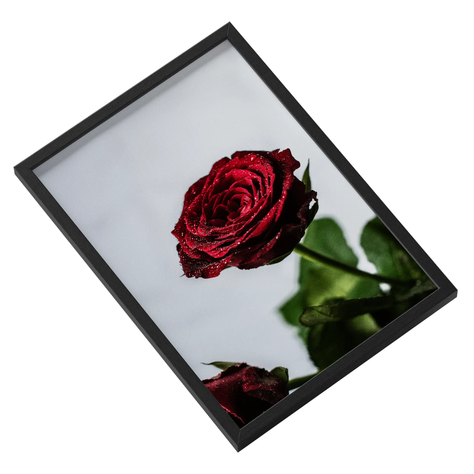 Quadro Rosa Vermelha MDF e Vidro A3 - Imagem 2