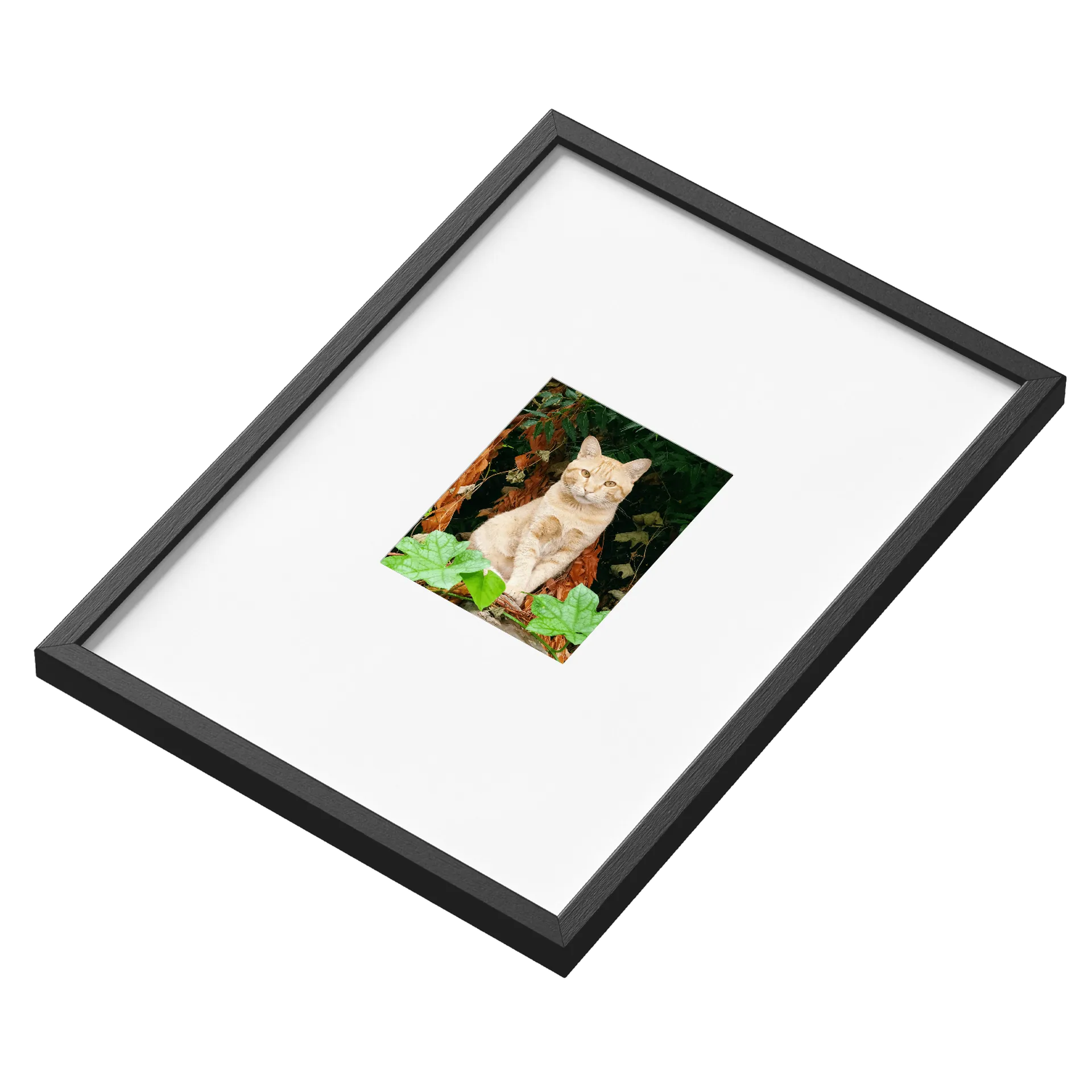 Quadro A3 personalizado de Manoecorpus — imagem 3 de 3