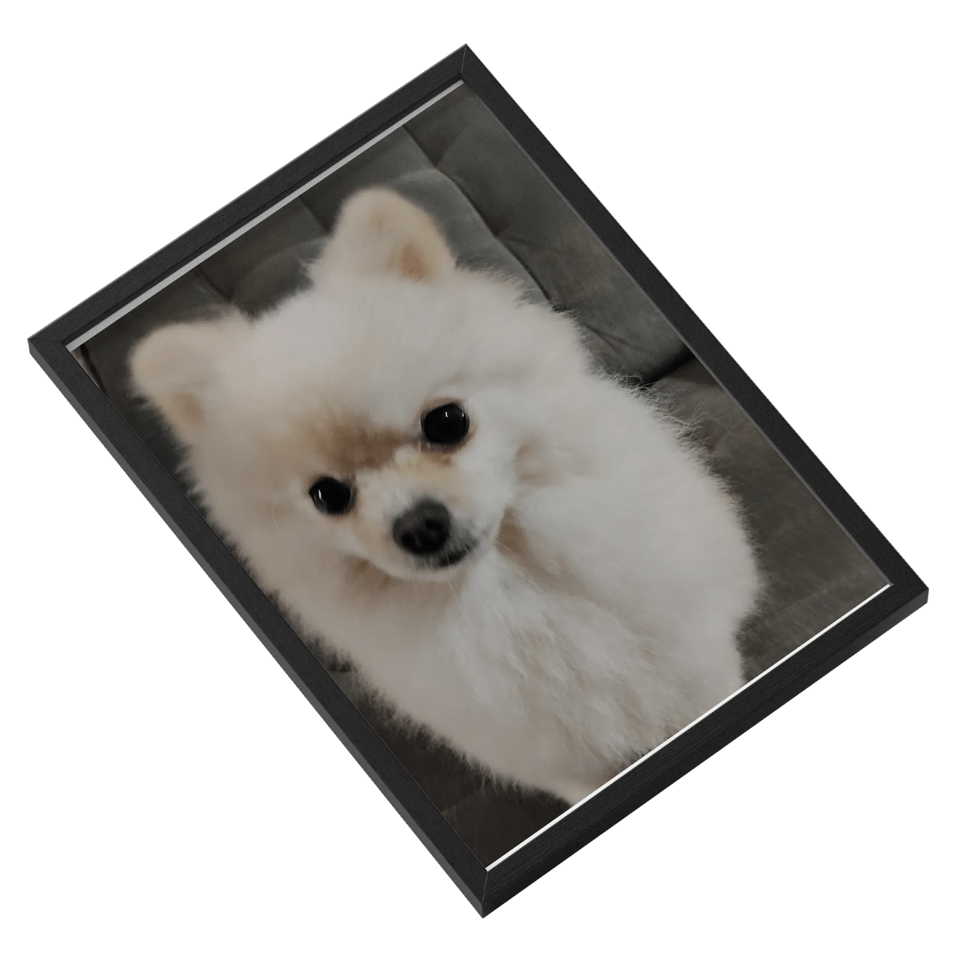 Quatro cachorros de Brasil Crown Store — imagem 2 de 3