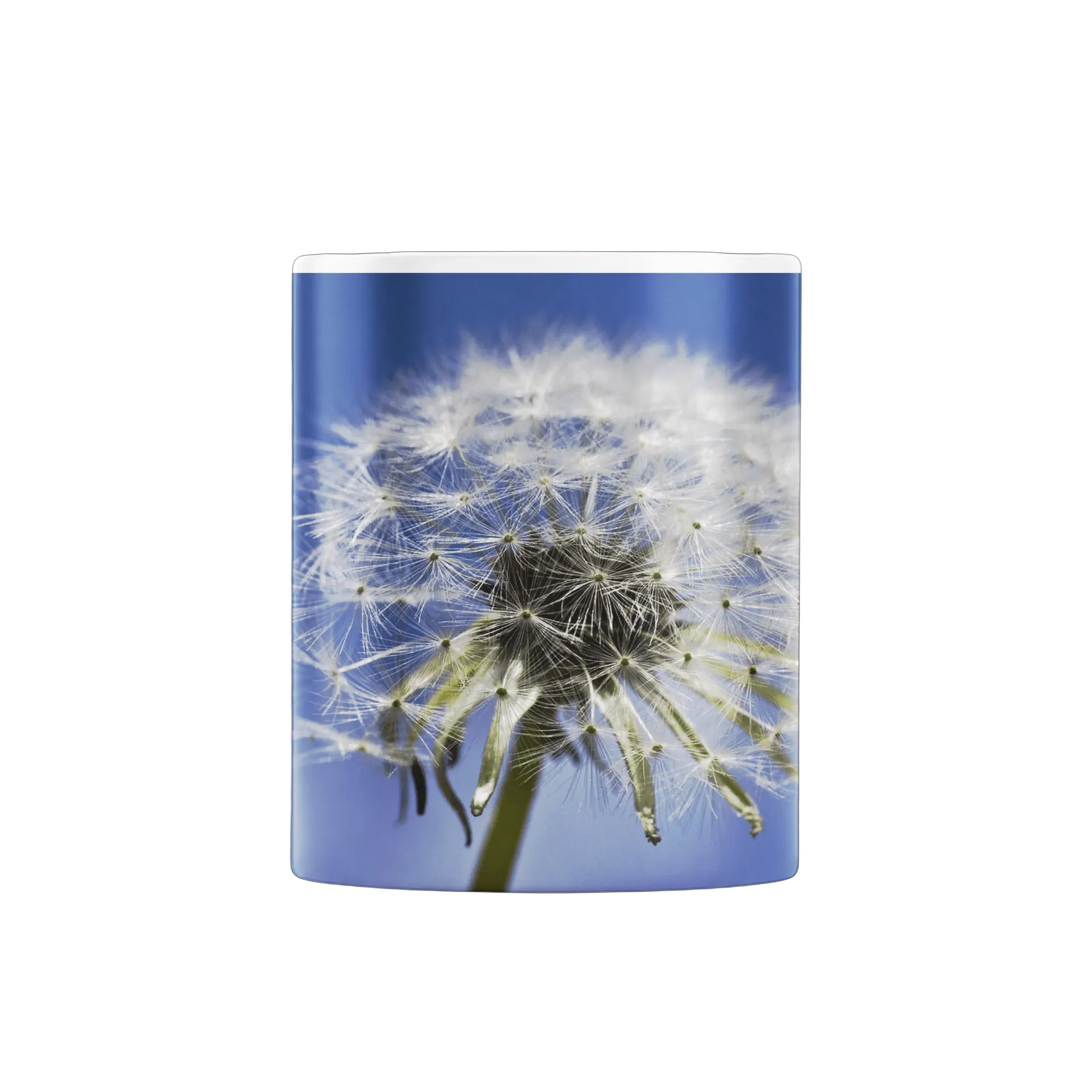 Caneca Dente de Leite Flor de Dente Branco 325ml - Imagem 3