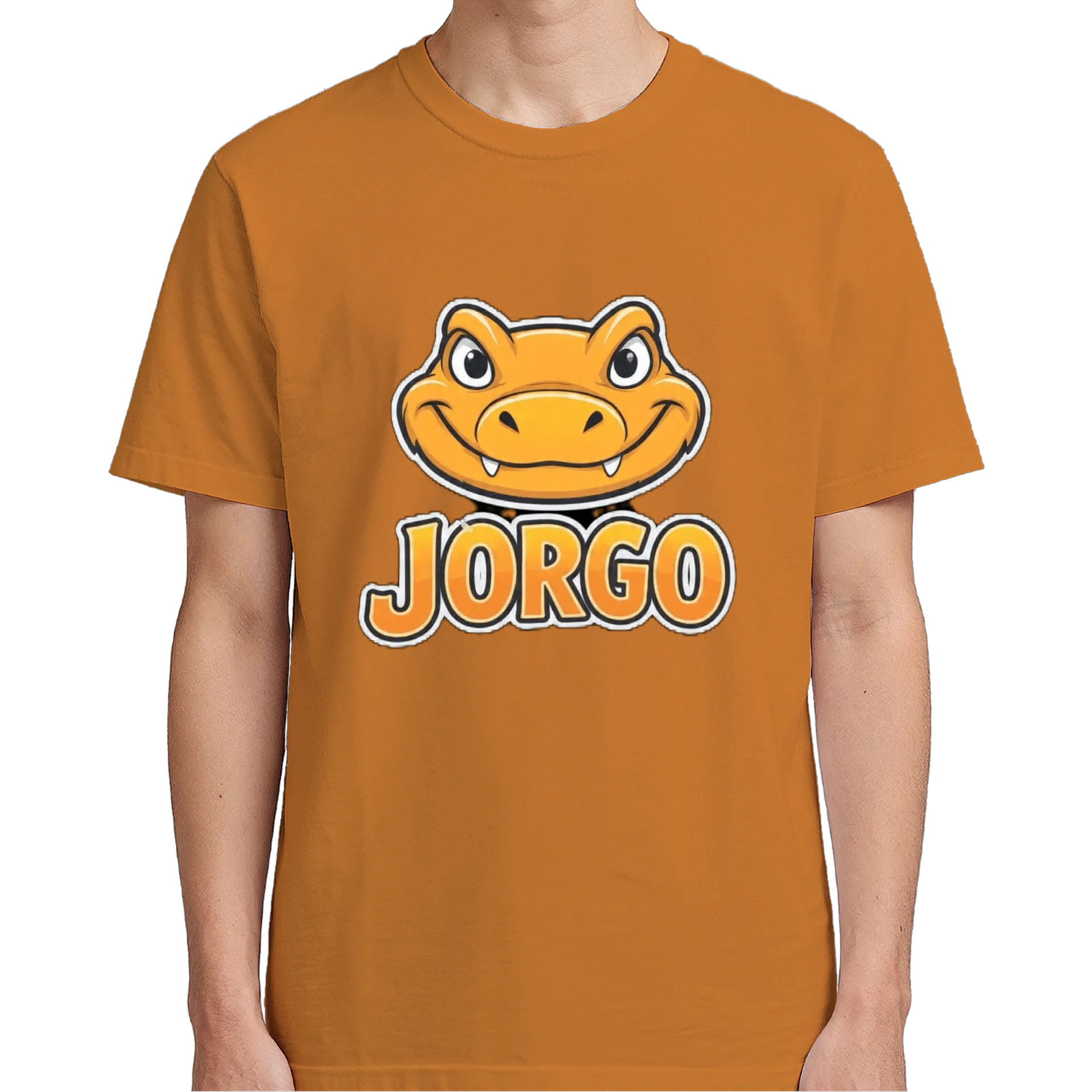 Camiseta personalizada - Imagem 5