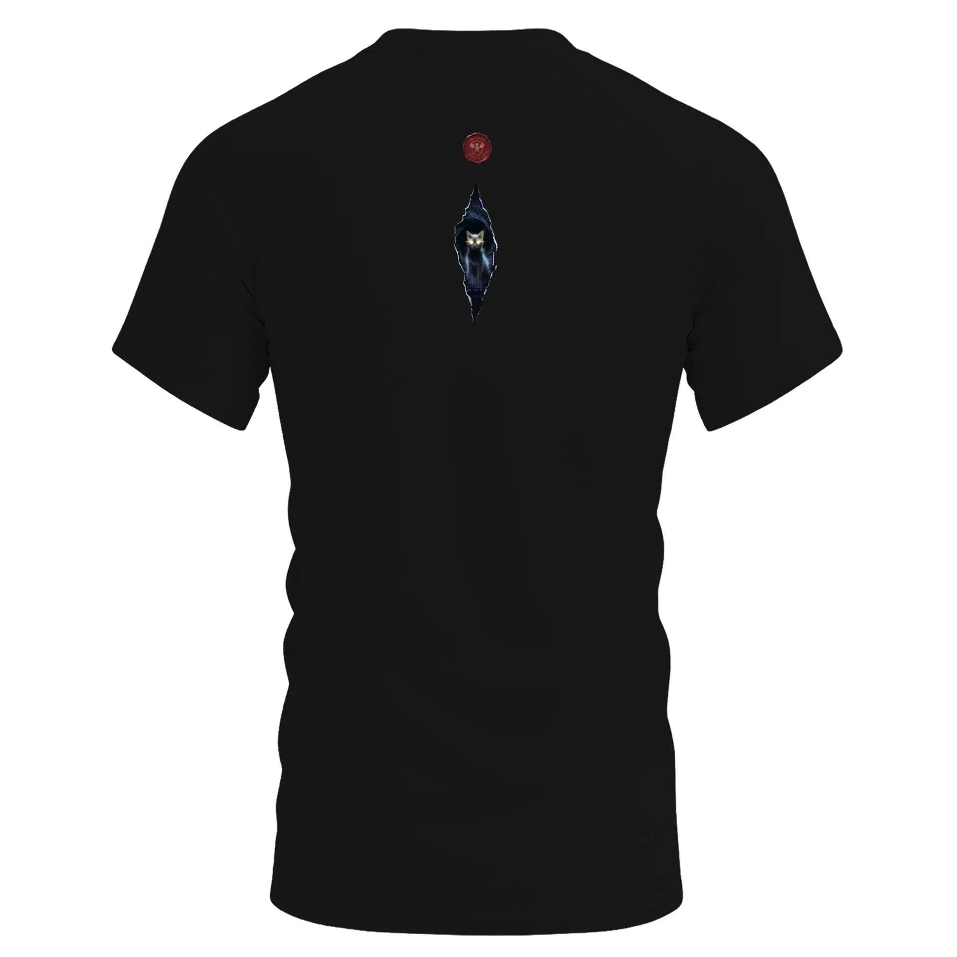 Camiseta DryFit o segredo de Blair de Mateus