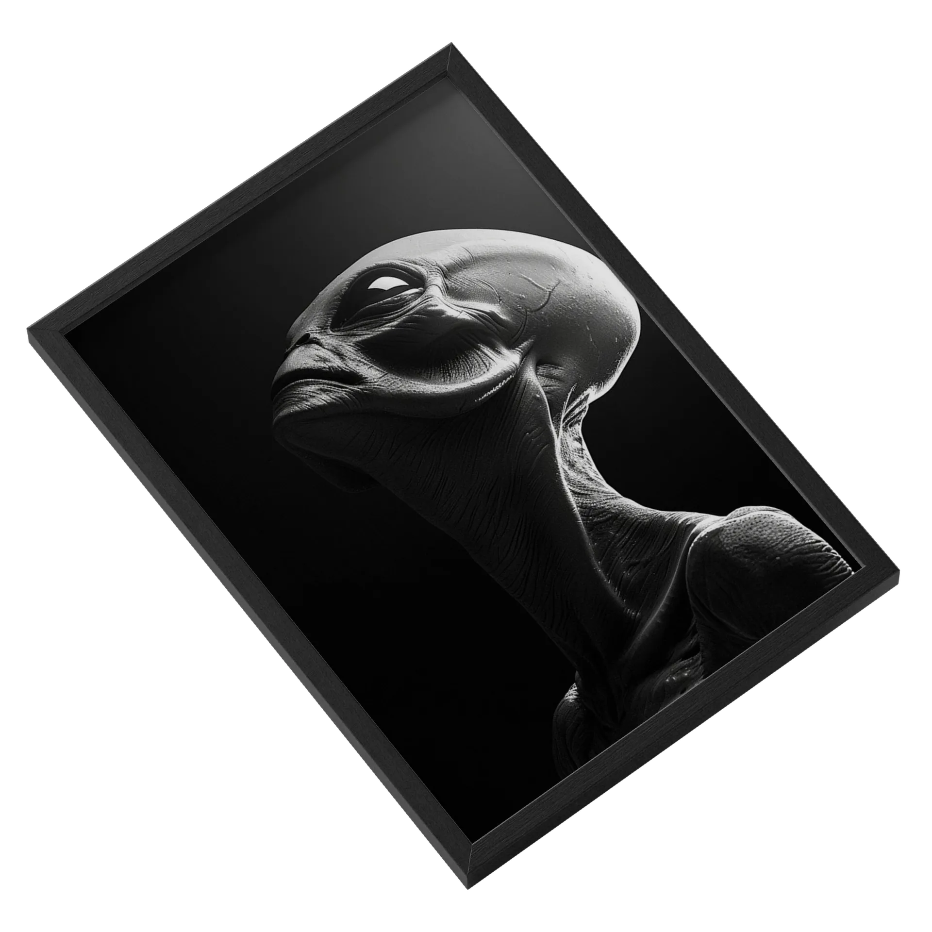 Quadro Alienígena Realista em Preto e Branco A3 Com Vidro - Imagem 2