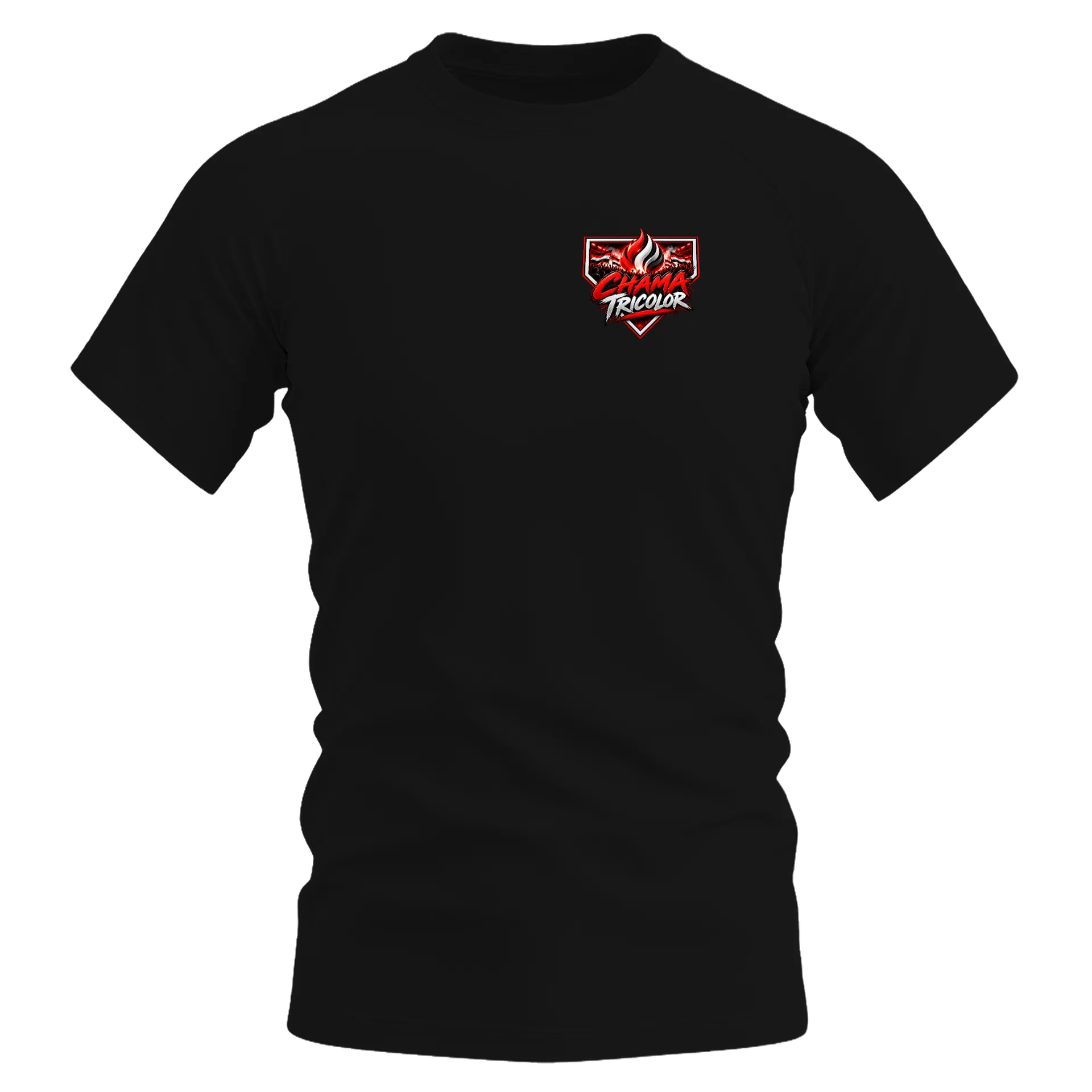 Camiseta DryFit de CHAMA TRICOLOR — imagem 1 de 6