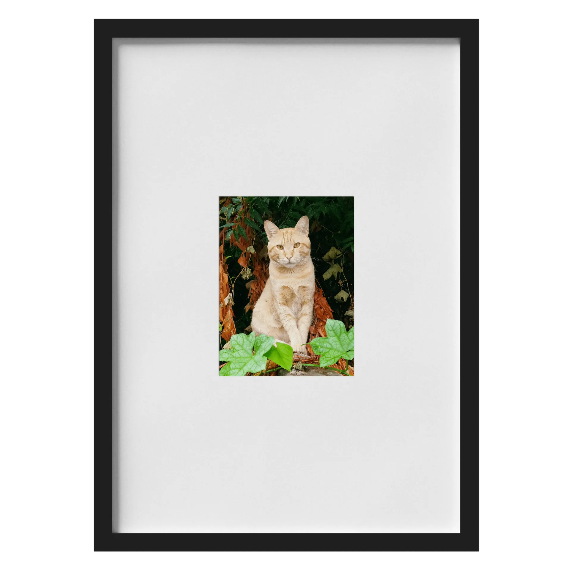 Quadro A3 personalizado de Manoecorpus — imagem 1 de 3