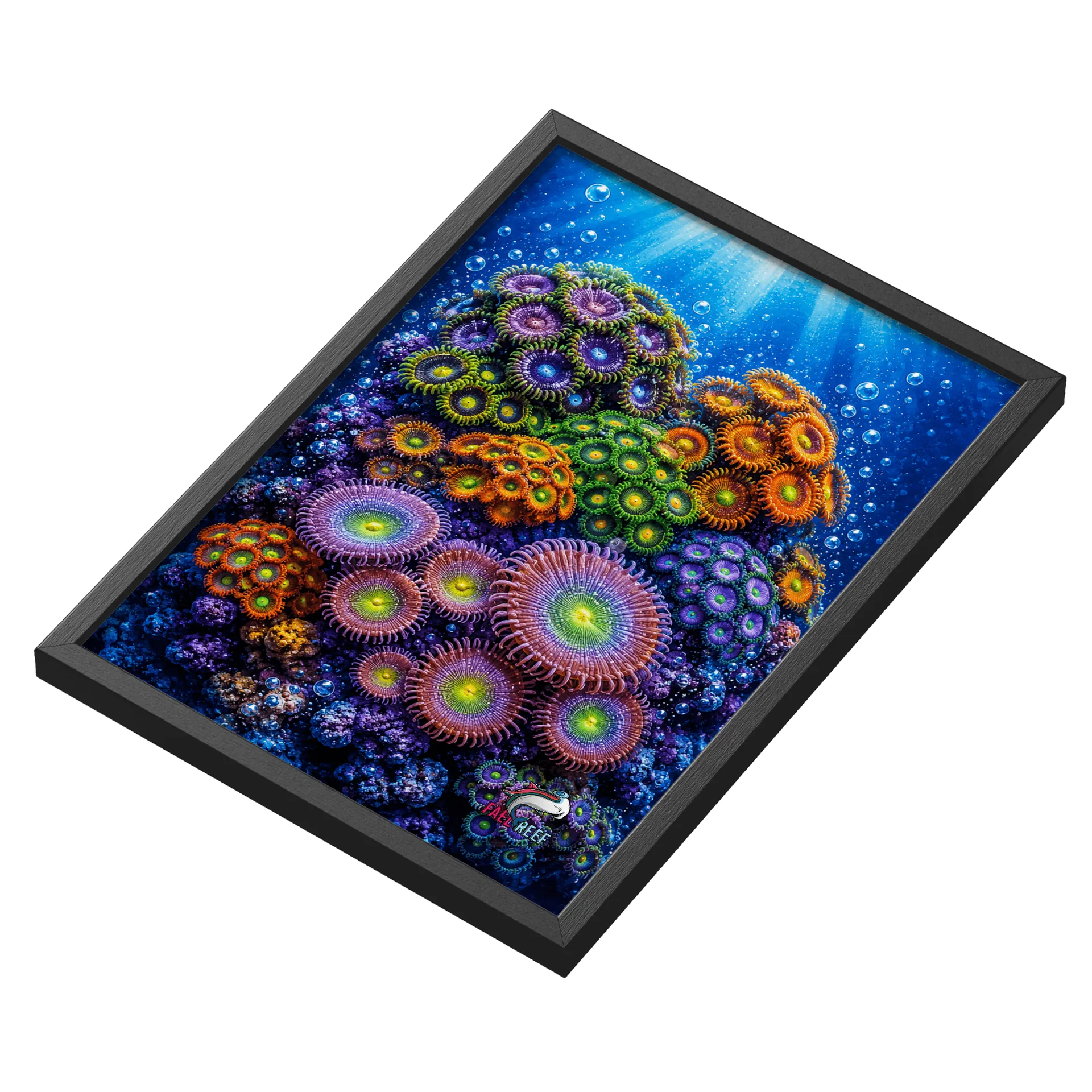 Quadro Zoanthus e Pallythoas - Imagem 3