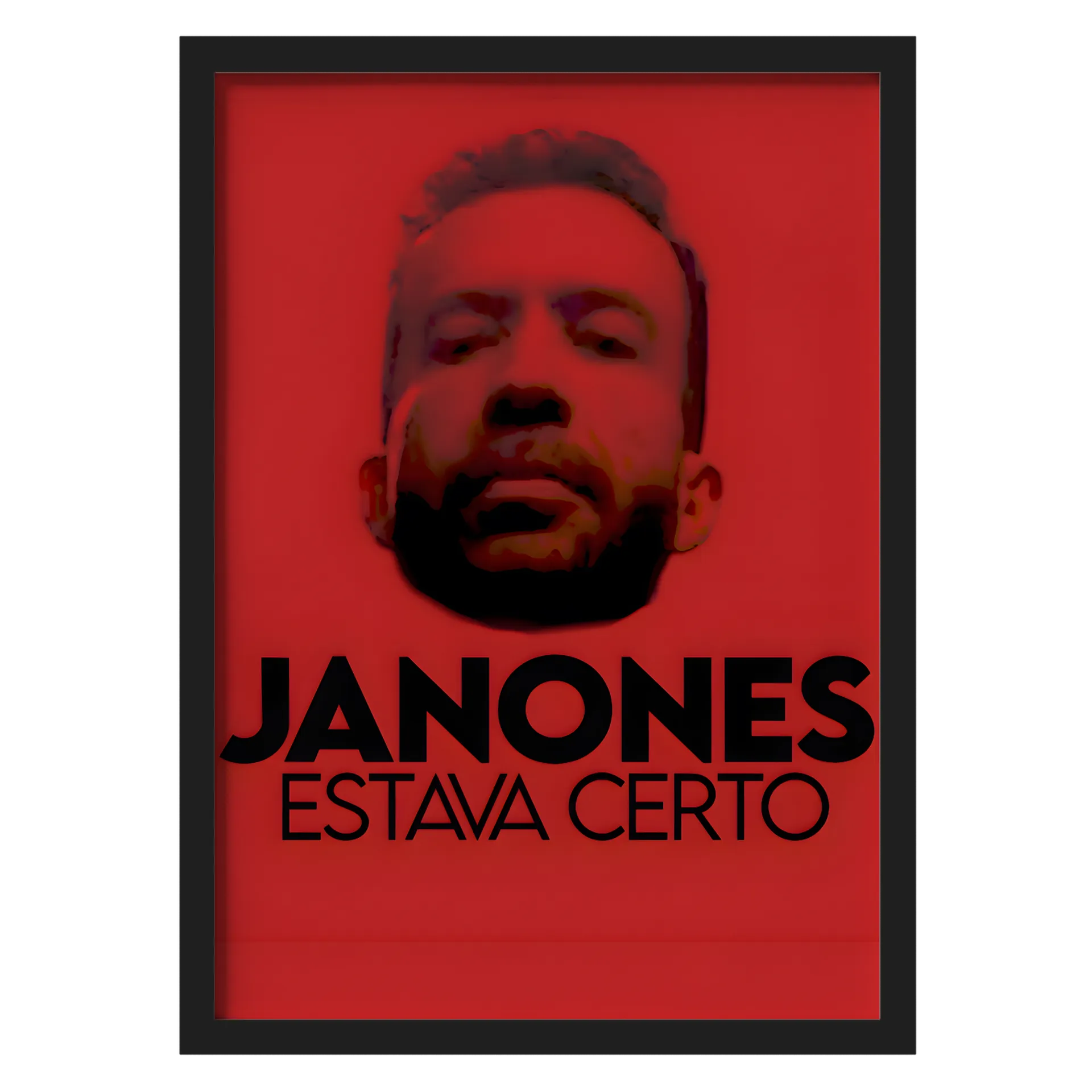 JANONES ESTAVA CERTO Quadro A3 Com Vidro de FAROFEIROS — imagem 1 de 3